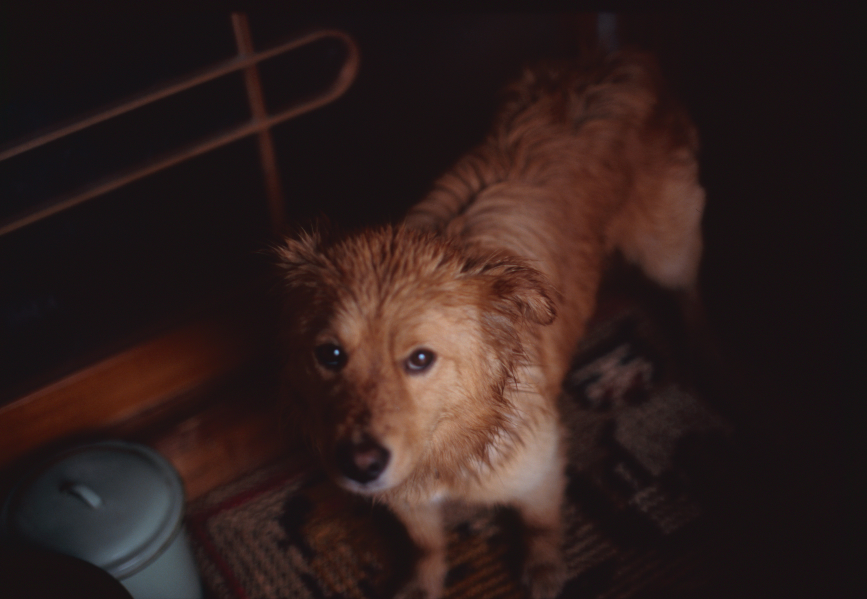 日々の隙間　2005