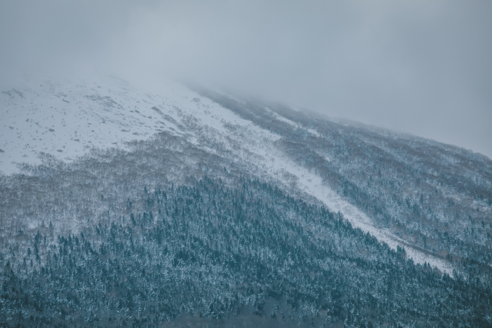 Liart Vol.22  Winter Back Country