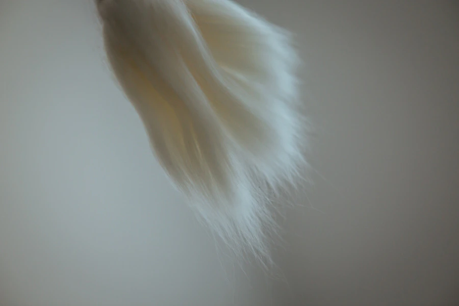 evam eva 2016 spring summer