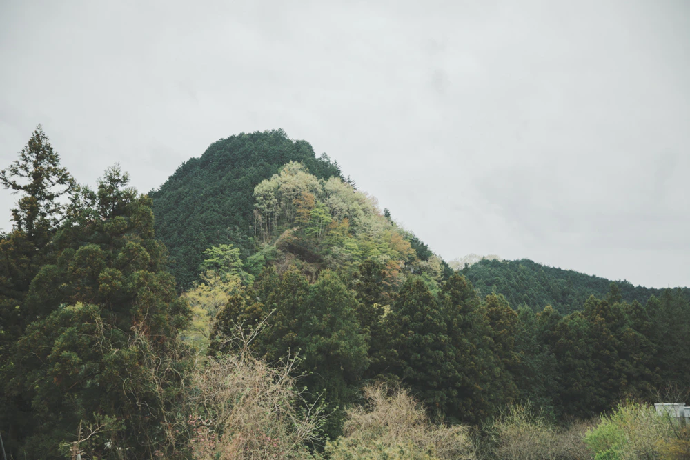彫刻家 青木野枝氏