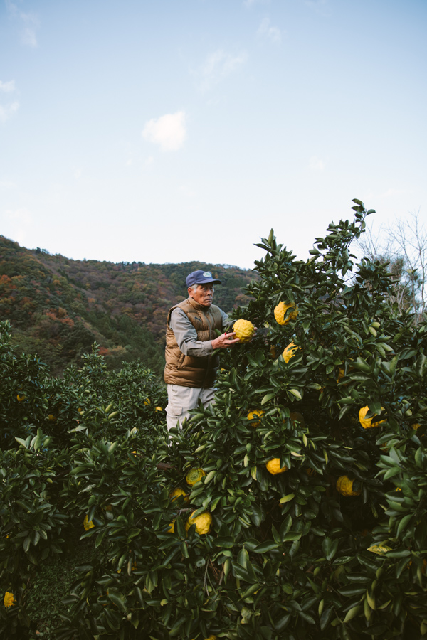 【連載】dancyu 『食の絶滅危惧種』