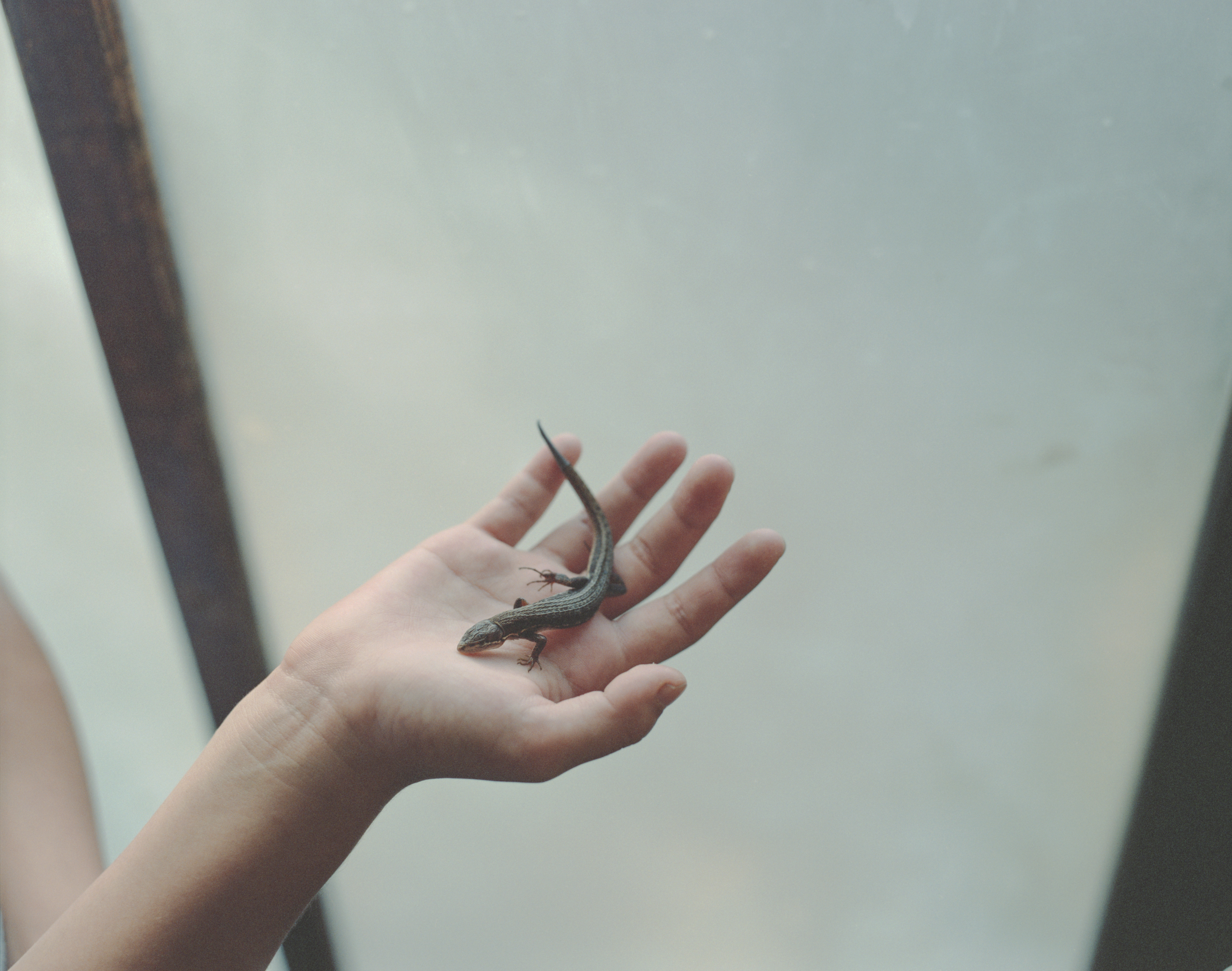 続　日々の隙間　2018