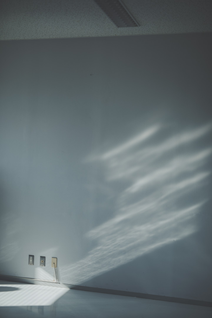 女子美術大学　2020学校案内