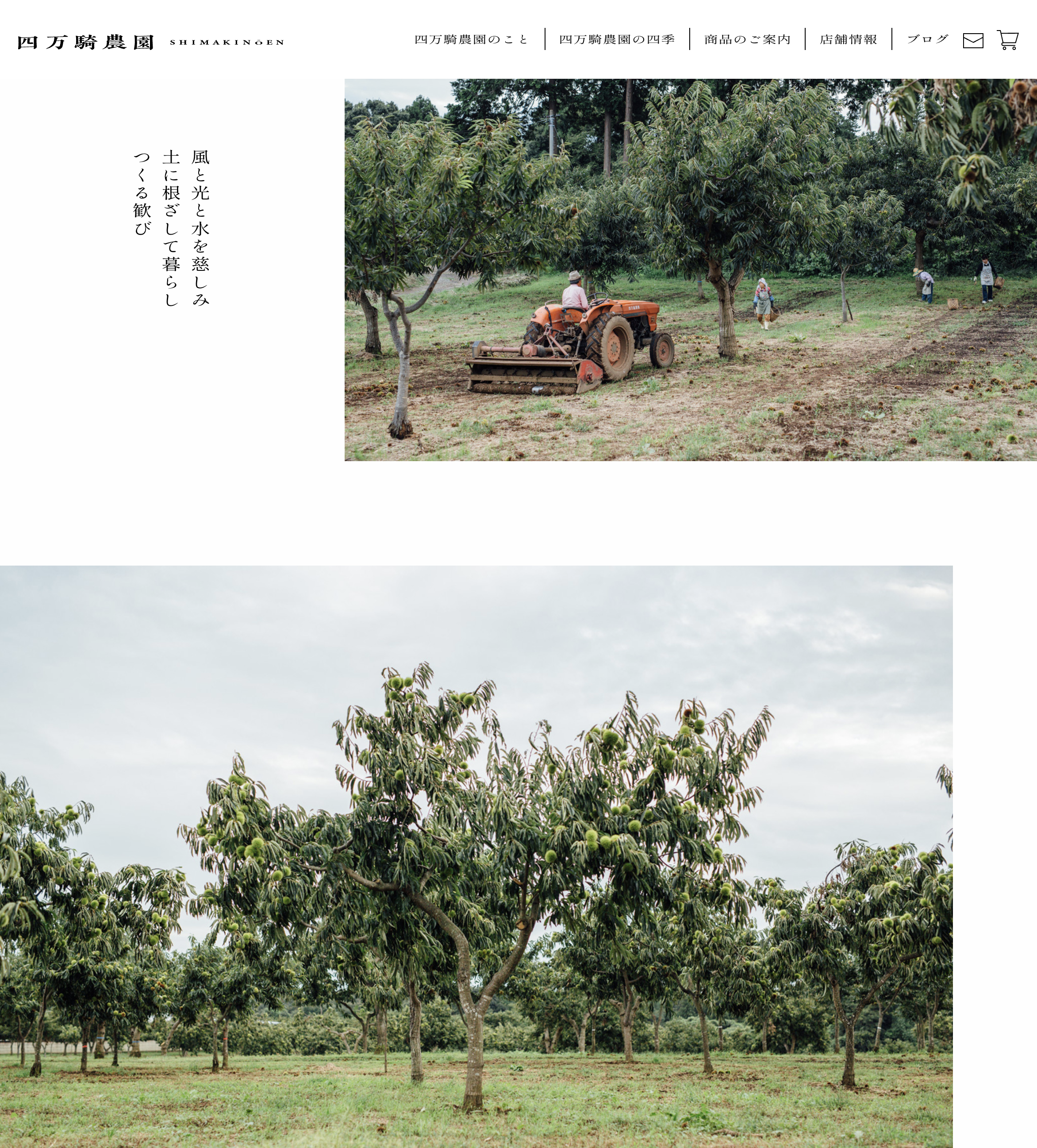 四万騎農園