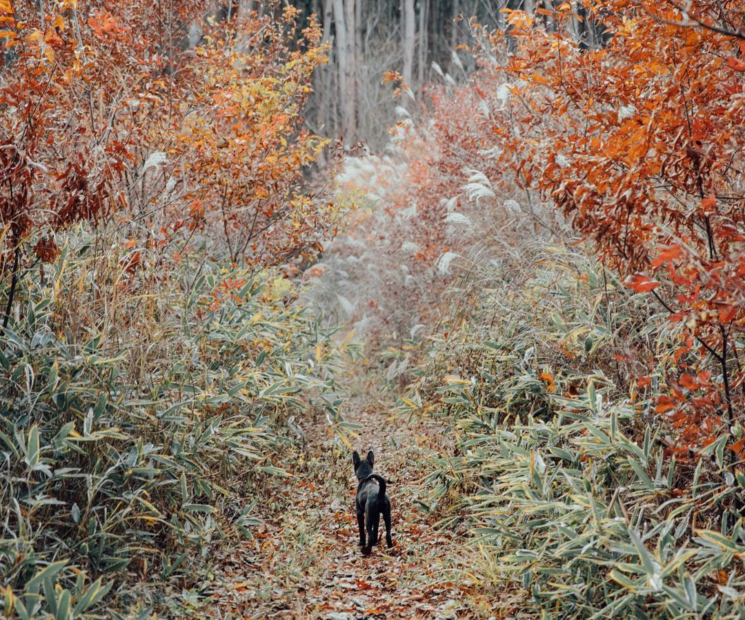 初めて来る道で。