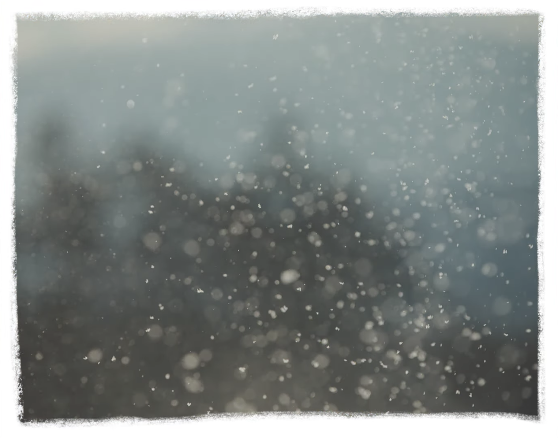 water water camel　PV 「タペストリー」