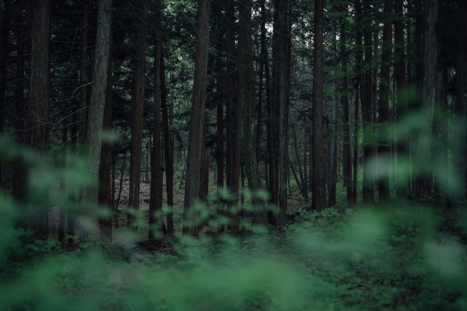 yl&Co.Hotel in Mt.Fuji
