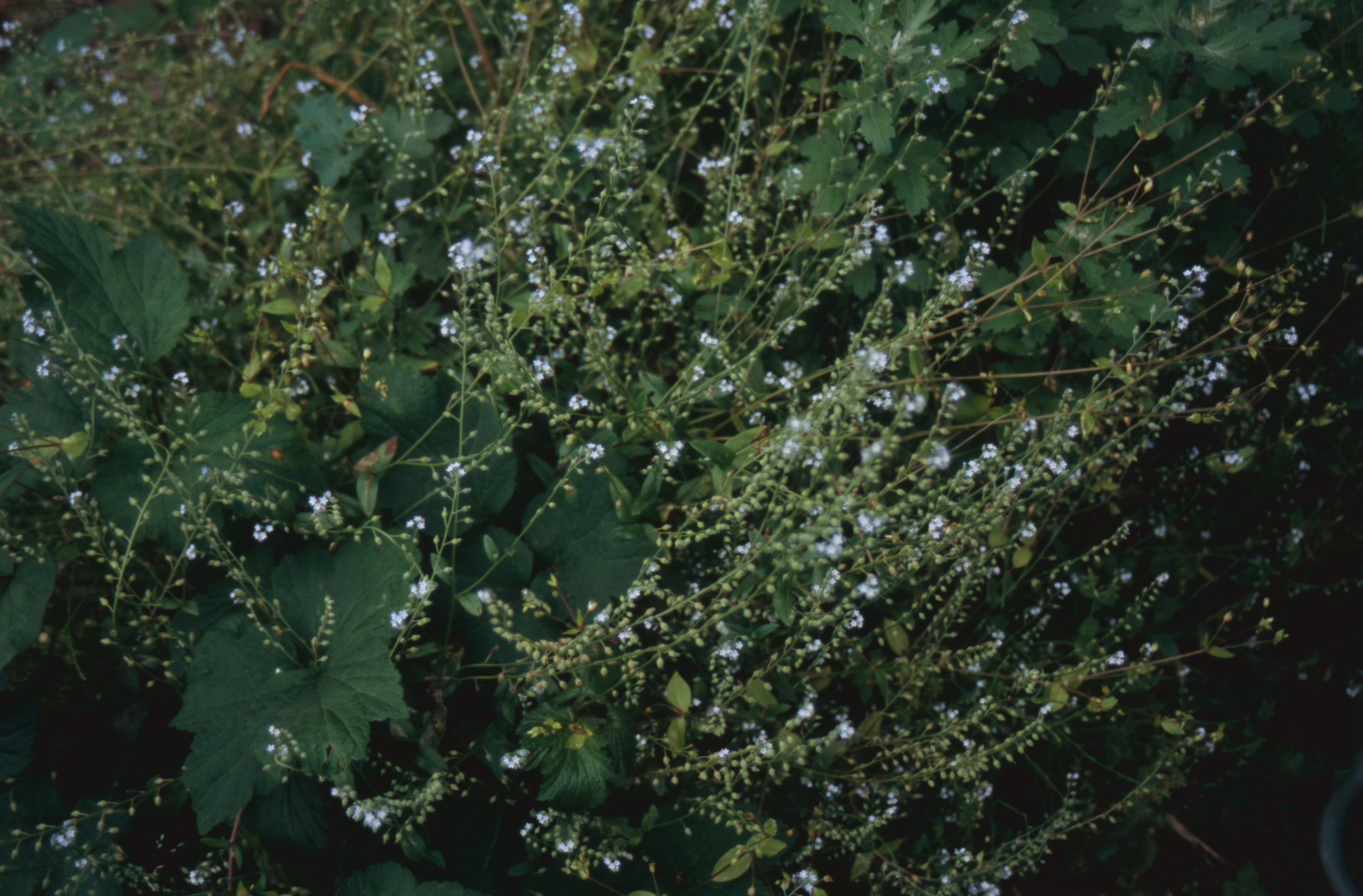 日々の隙間　2005