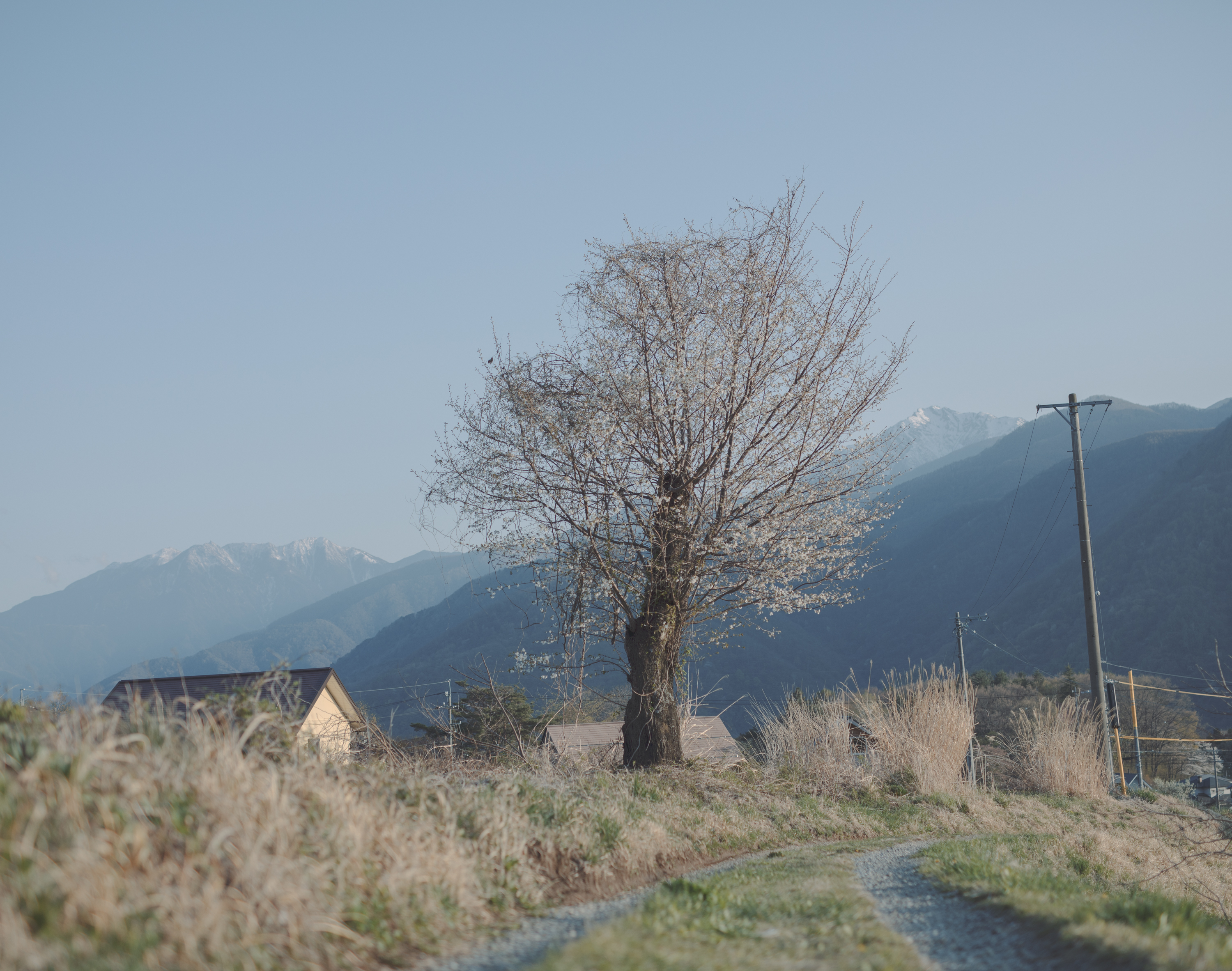 続　日々の隙間　2018