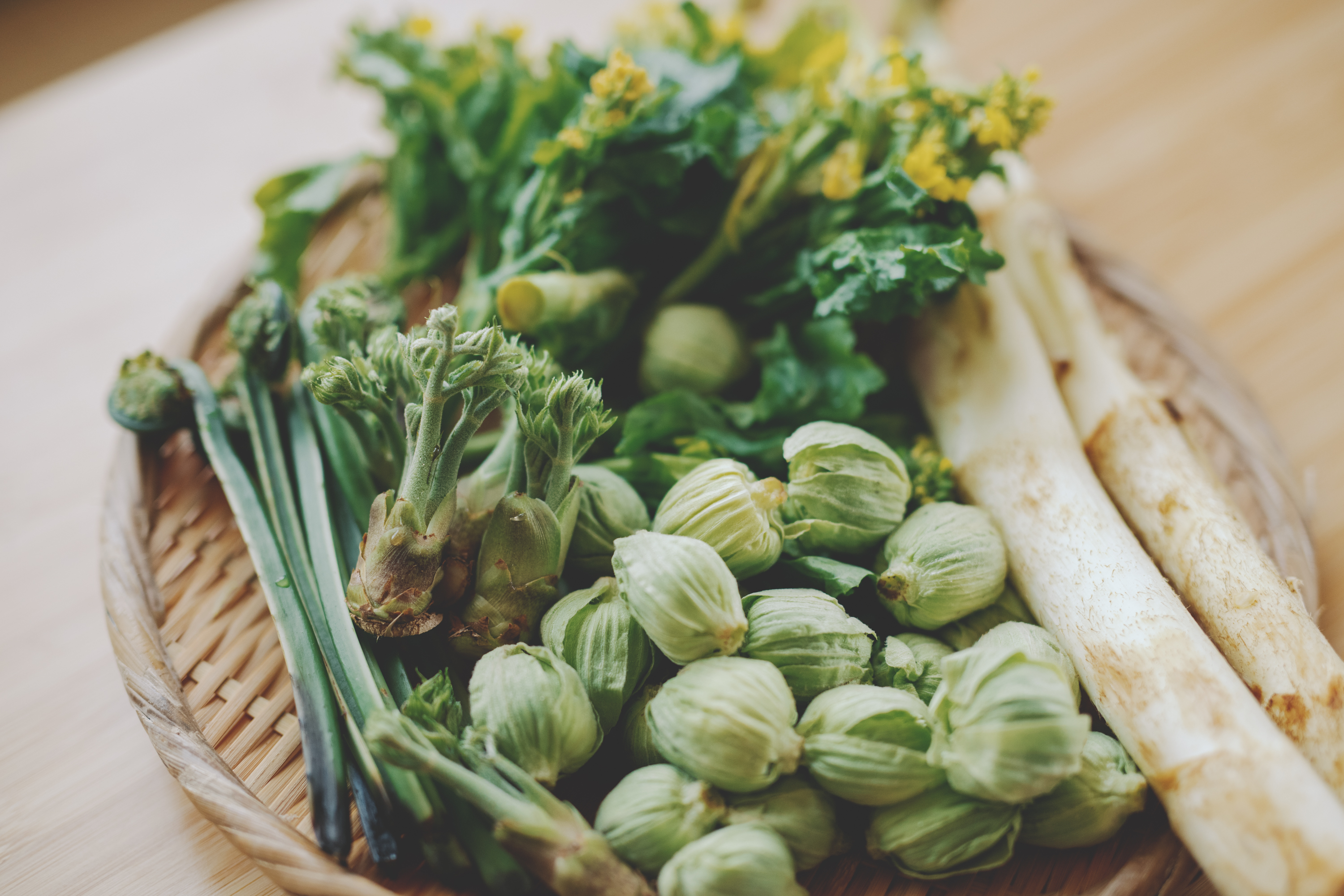 「土を編む日々」寿木けい