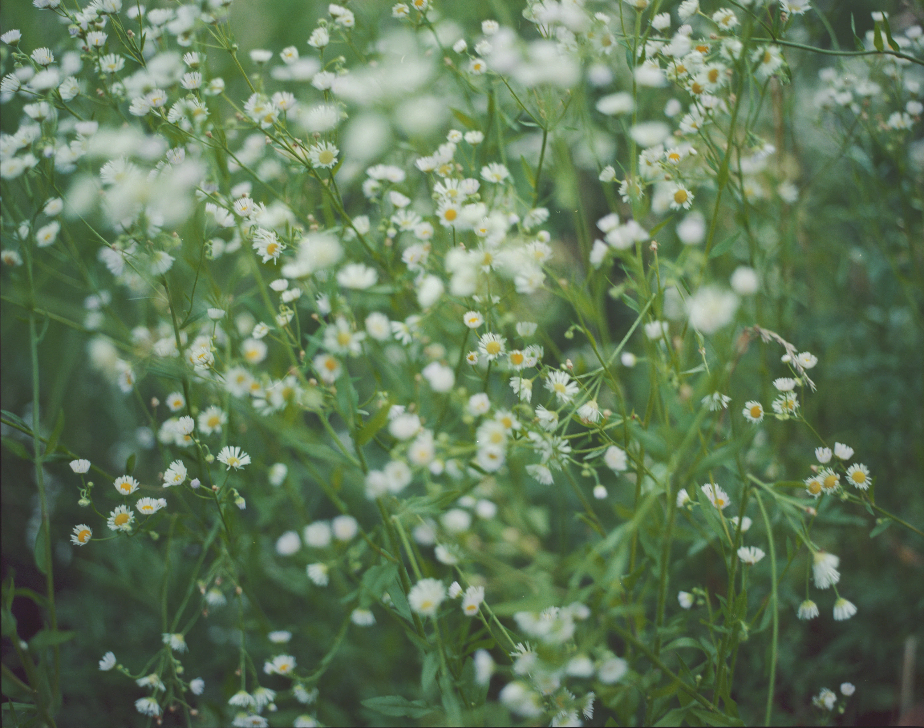 ZINE「 LANDING LAND」