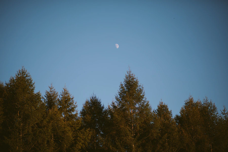 くるみと秋の夜長。
