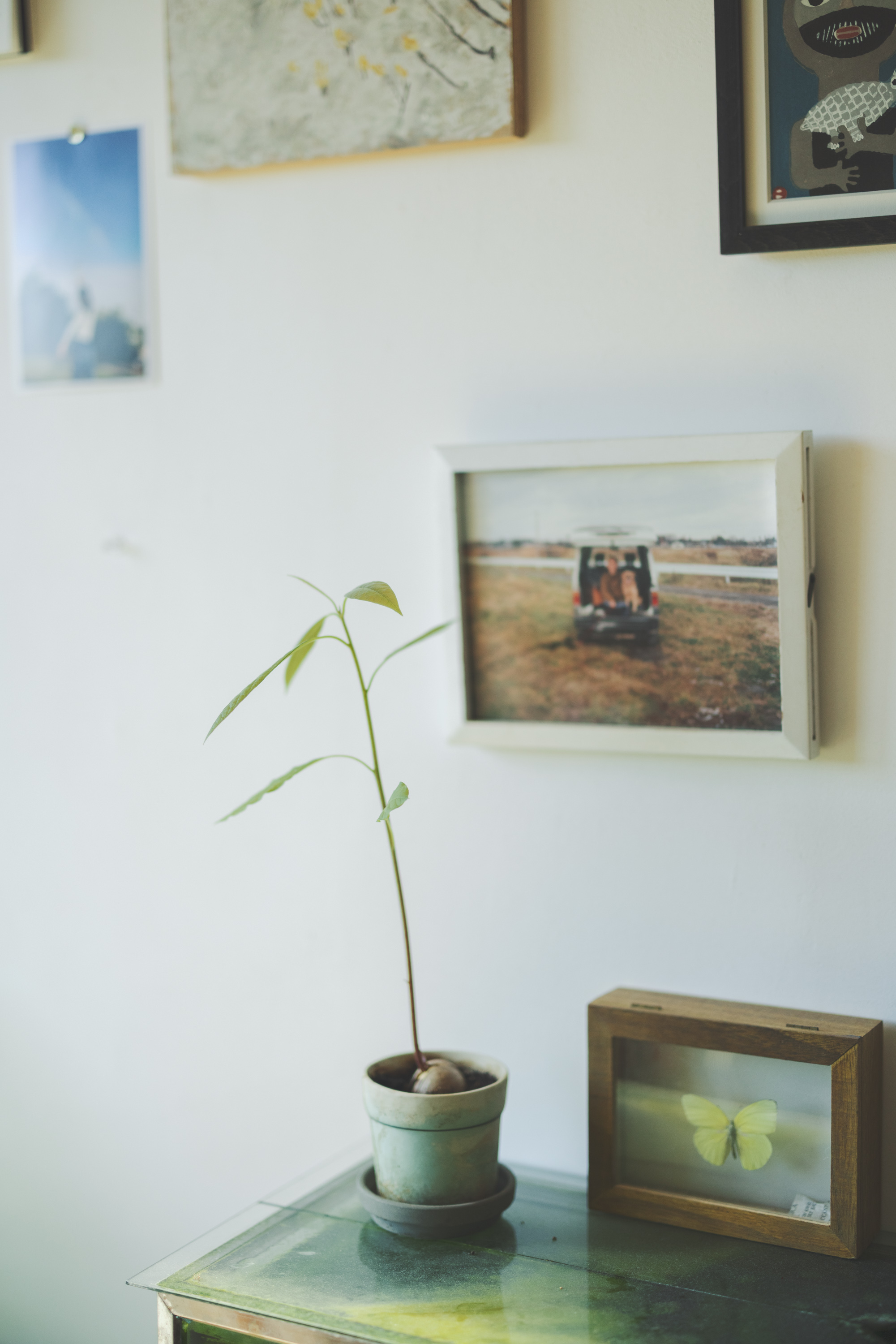 CALENDER 2026 「LONG SEASON」　