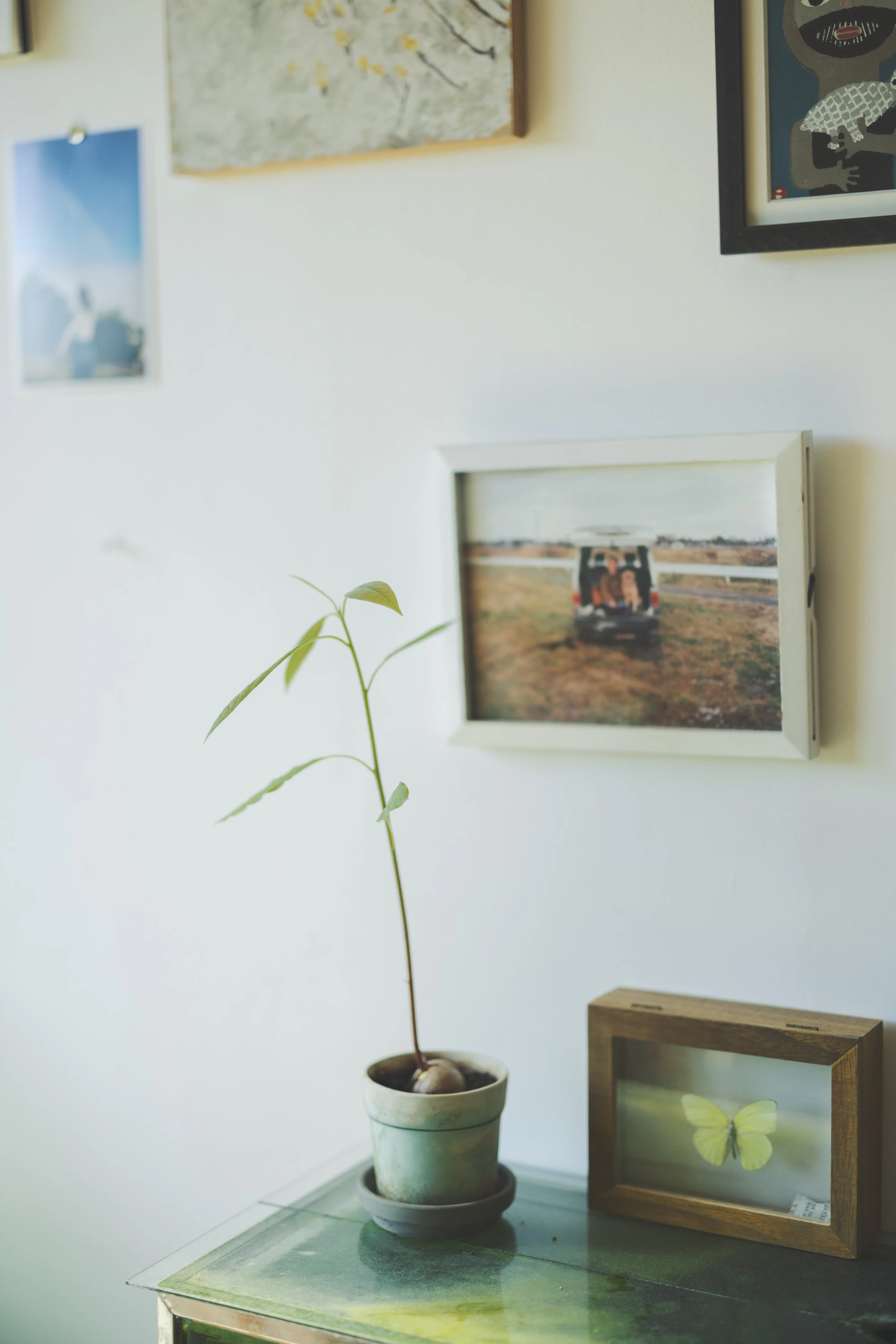 CALENDER 2026 「LONG SEASON」