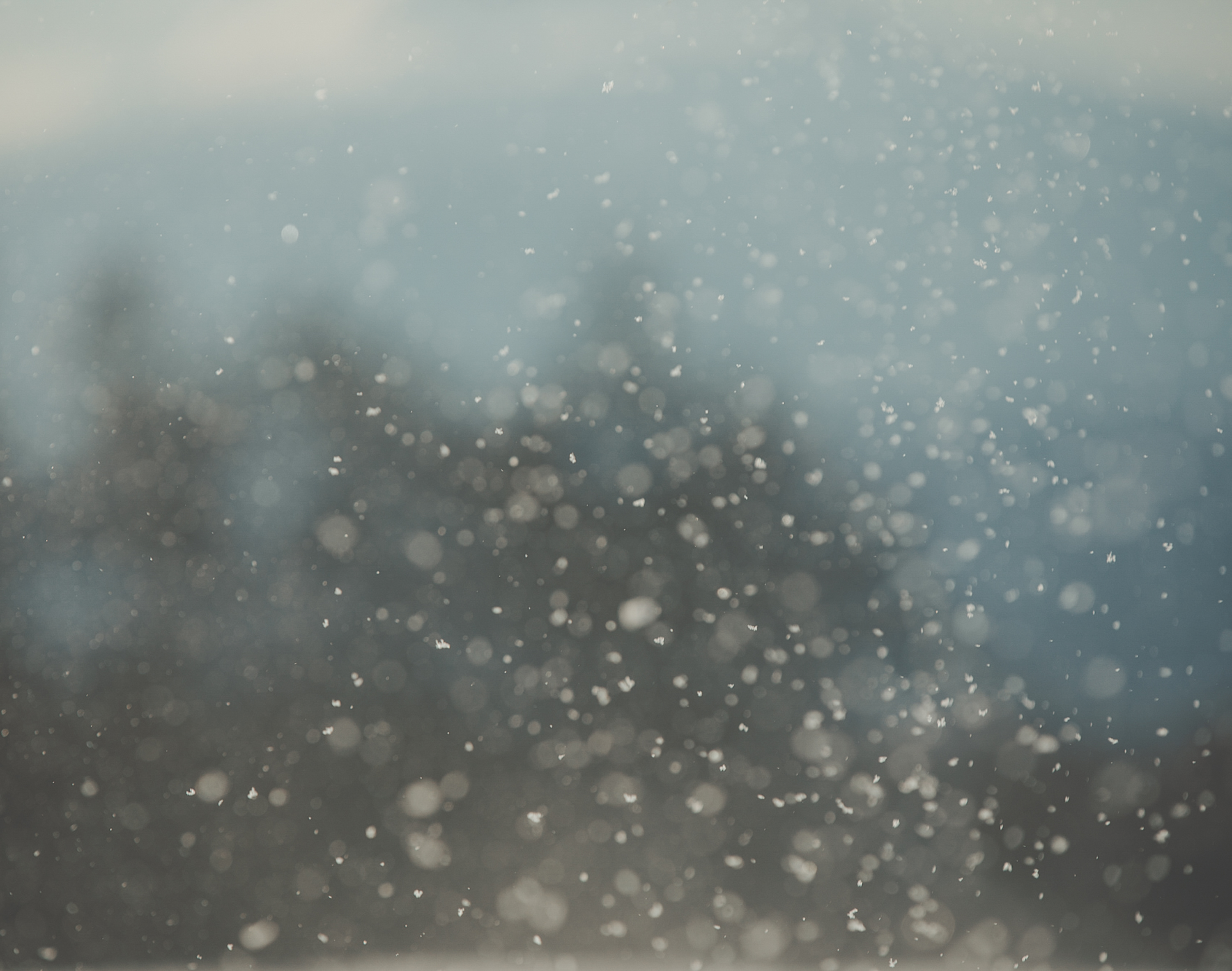 続　日々の隙間　2018