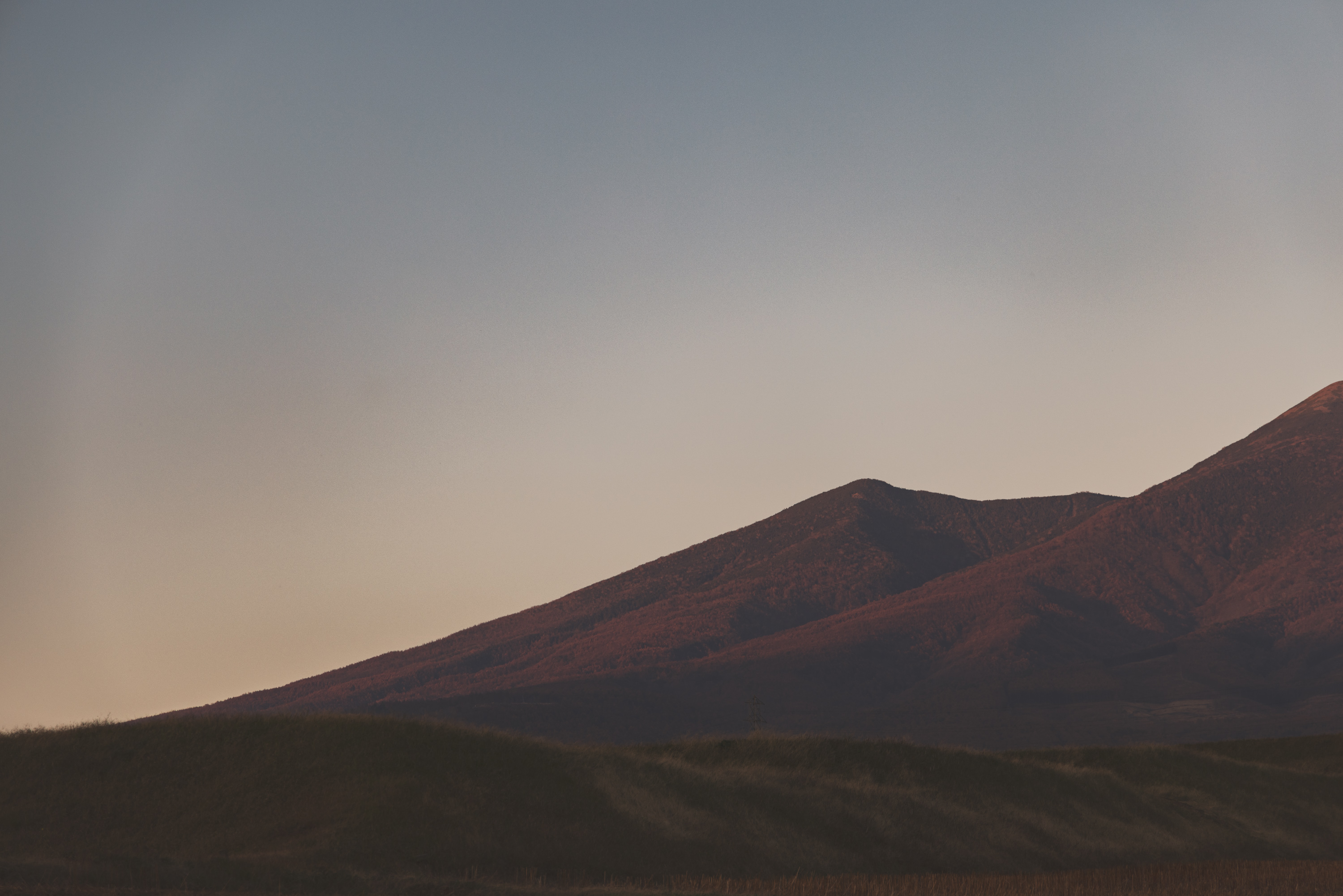 CALENDER 2026 「LONG SEASON」　