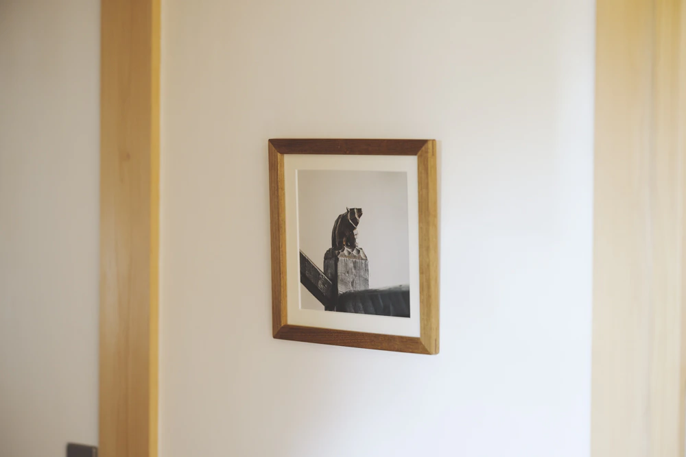 【展示終了】「森の風景と家族の写真」& 砺波周平の自然郷家族写真館