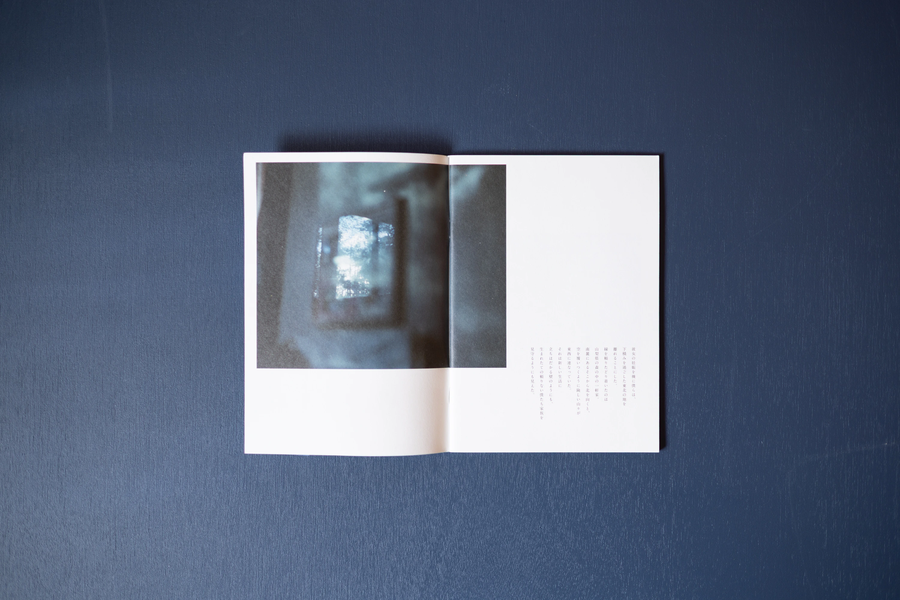 ZINE「 LANDING LAND」