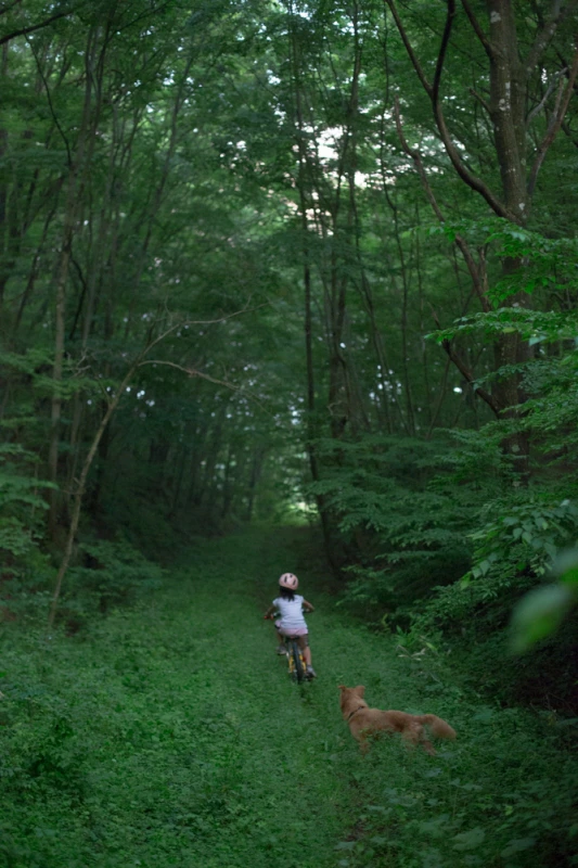 近所の森へ冒険に。