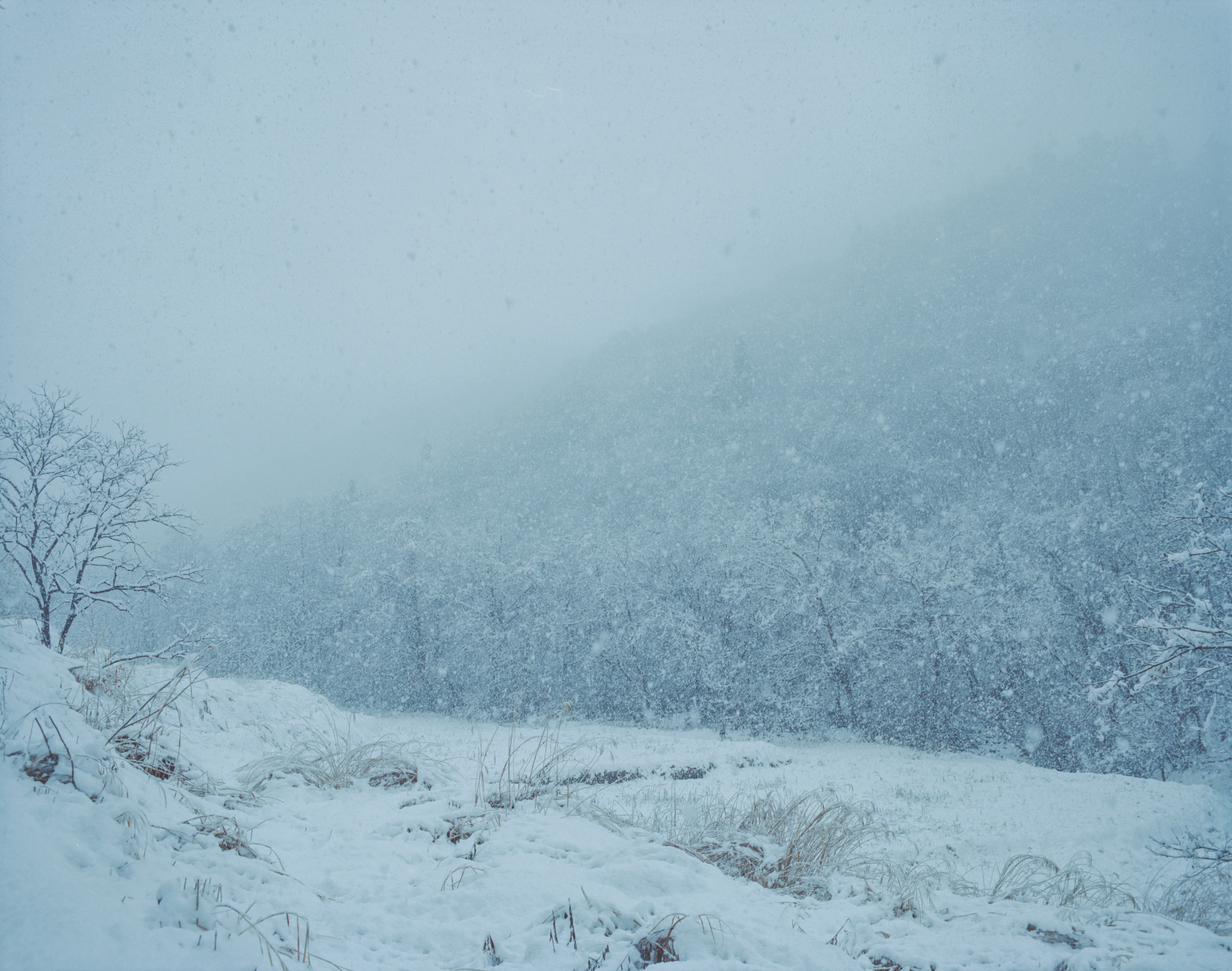 続　日々の隙間　2018