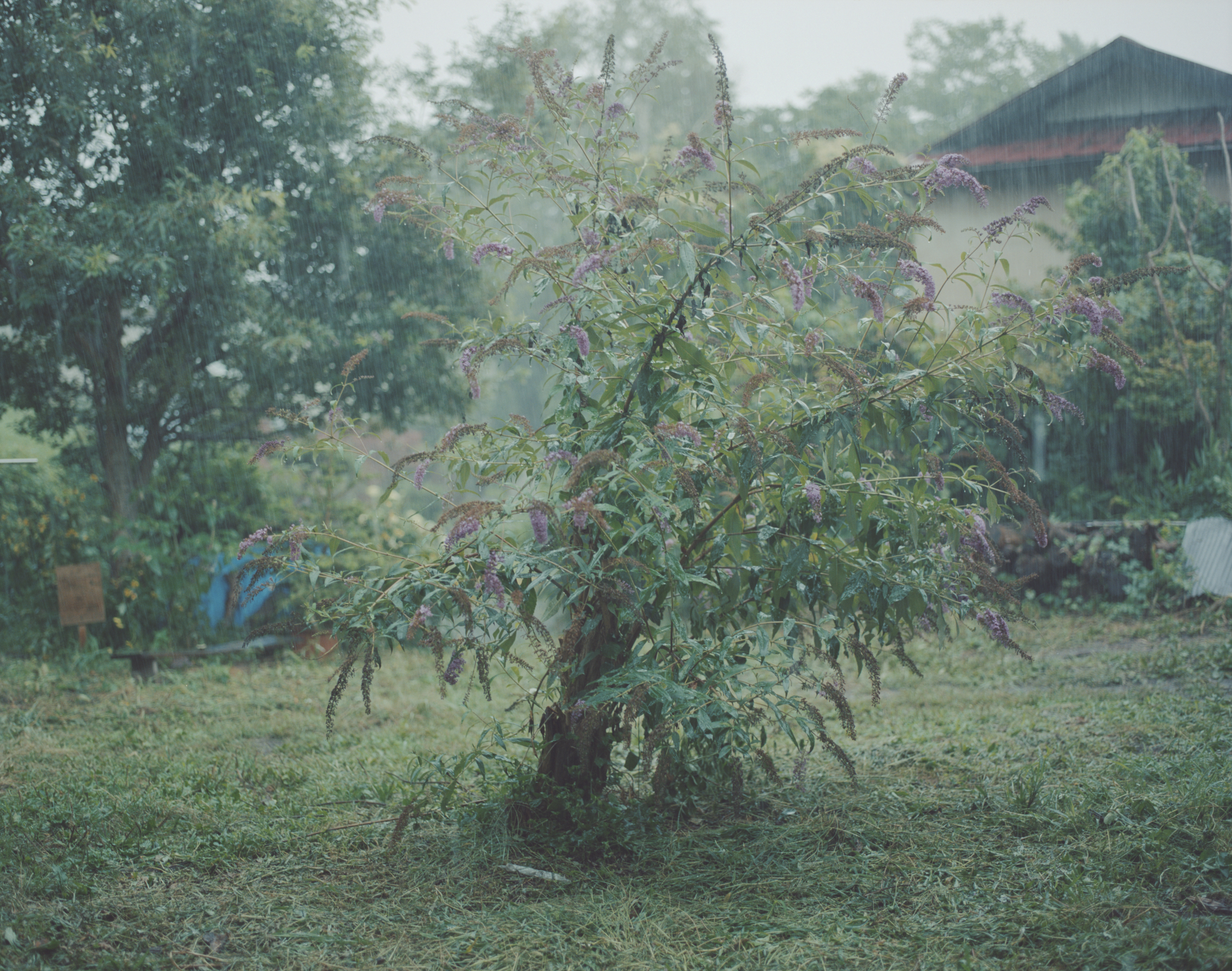 続　日々の隙間　2018