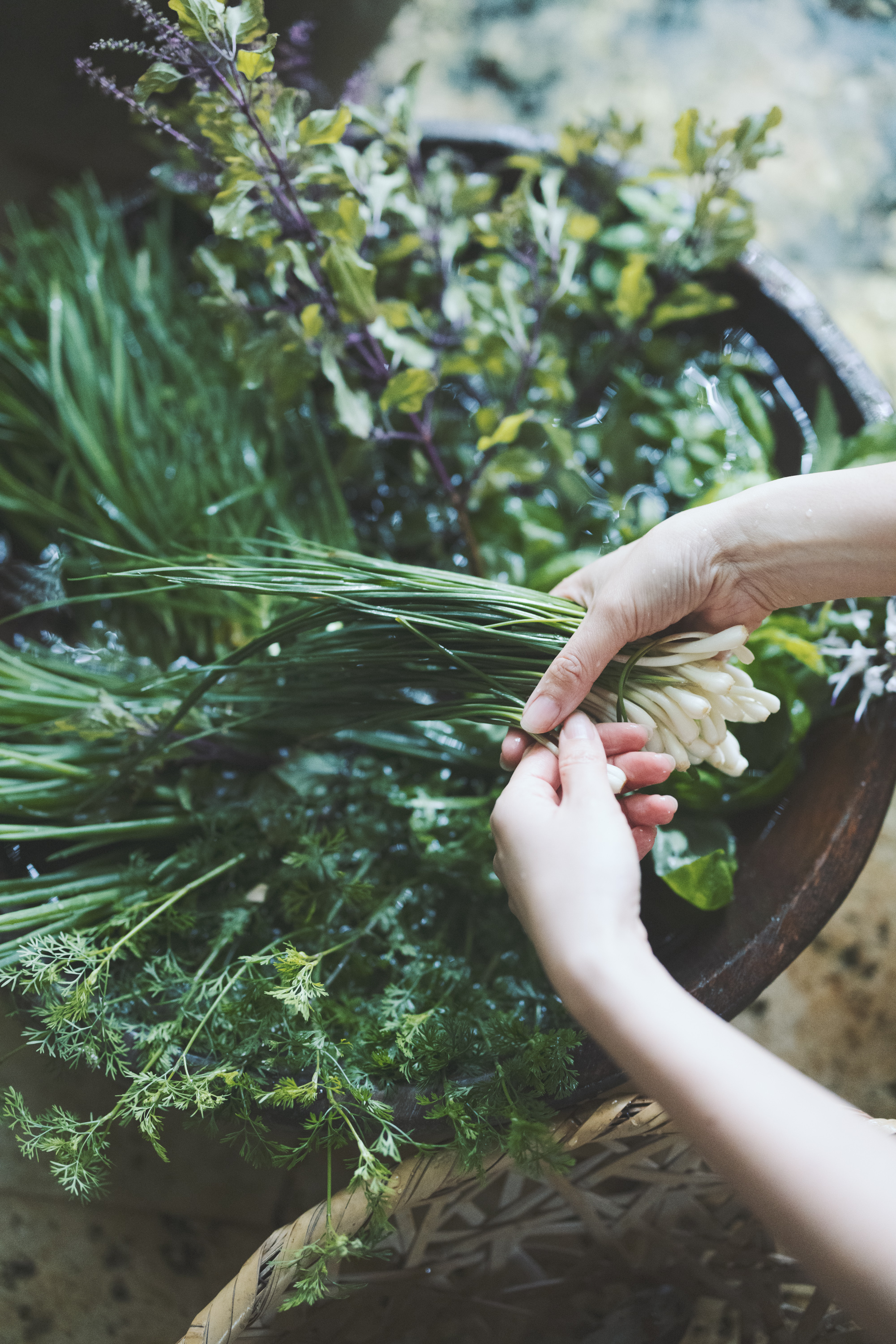 Jurgen Lehl & Babaghuri 2022 summer Collection