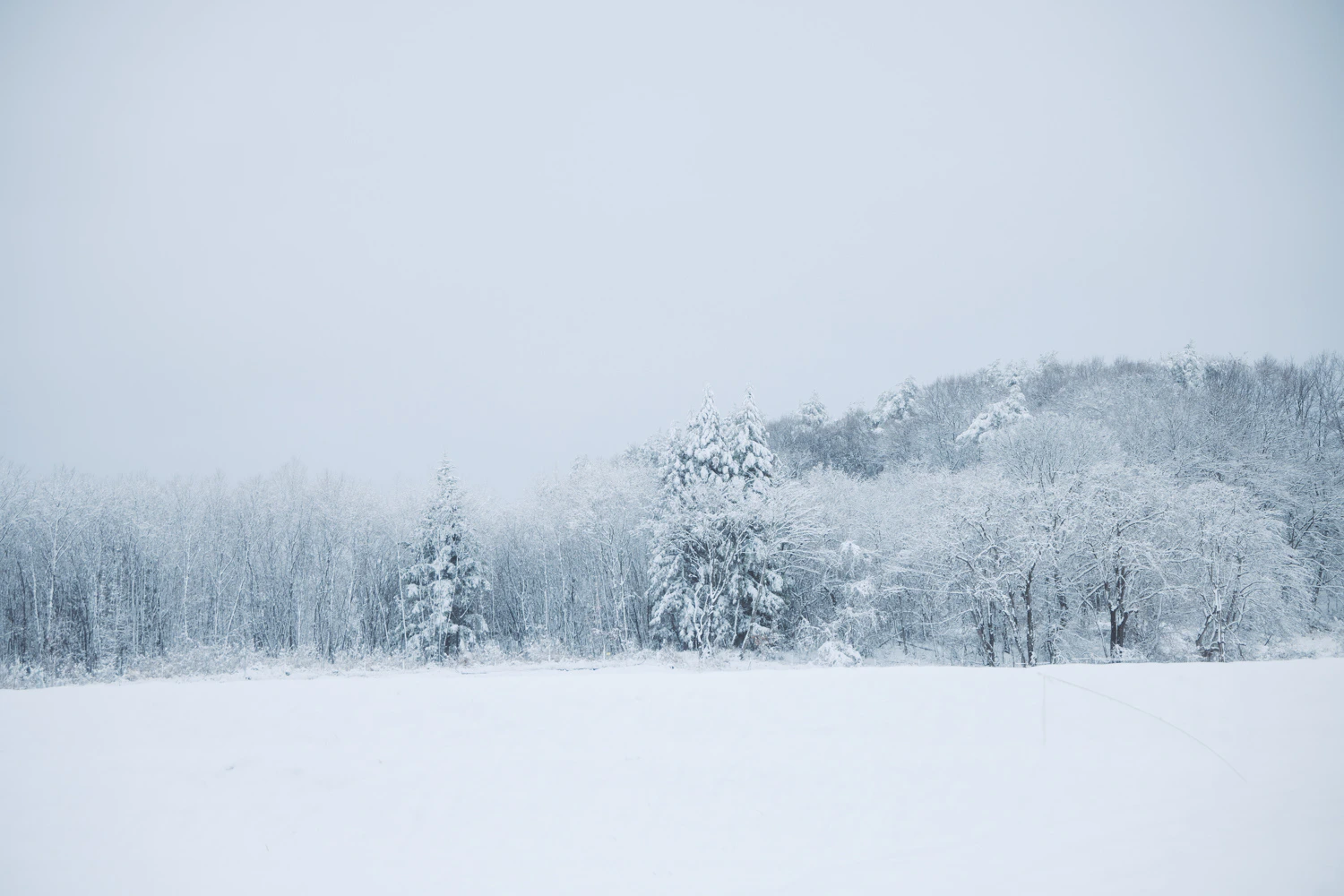 3月の雪