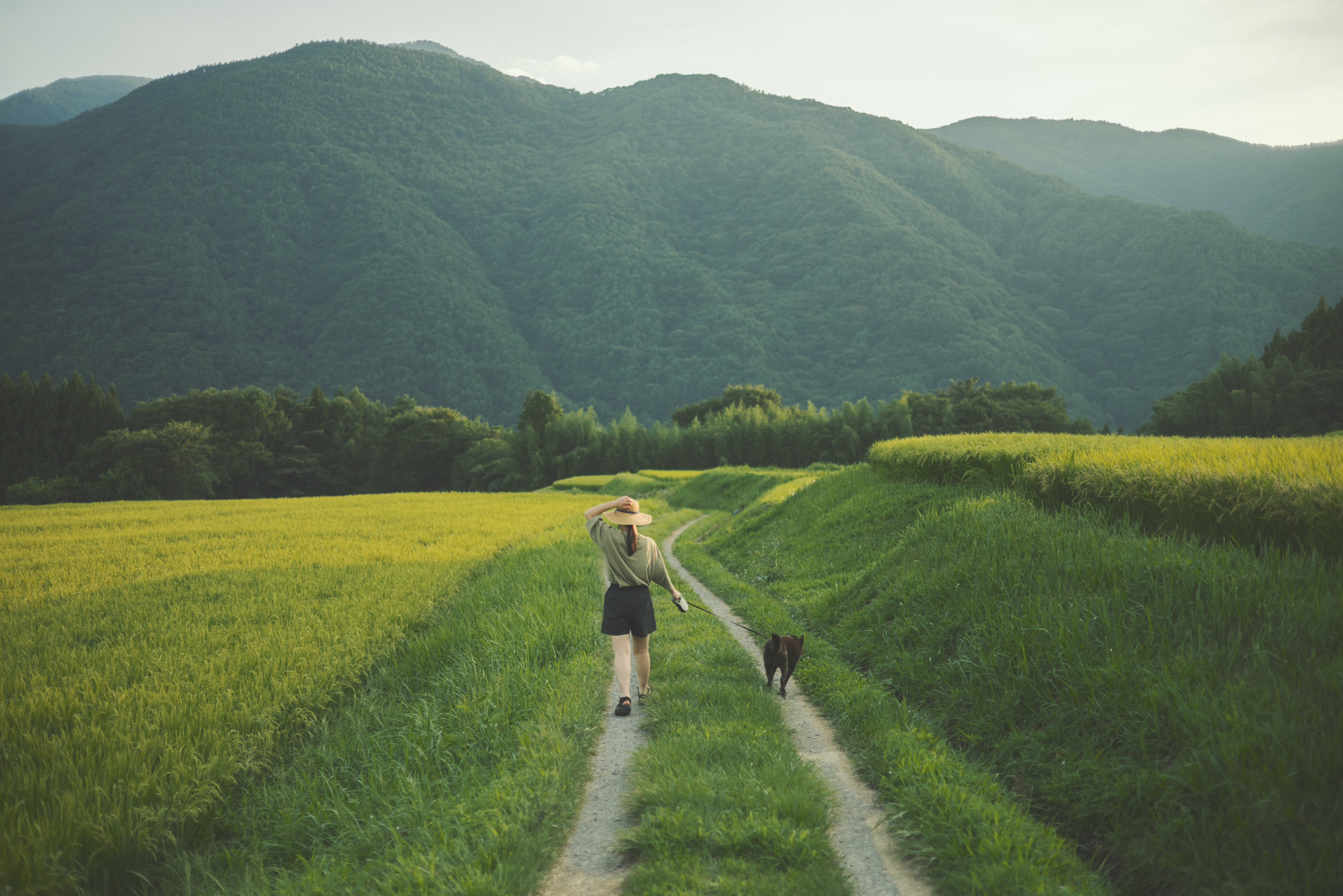 CALENDER 2026 「LONG SEASON」　