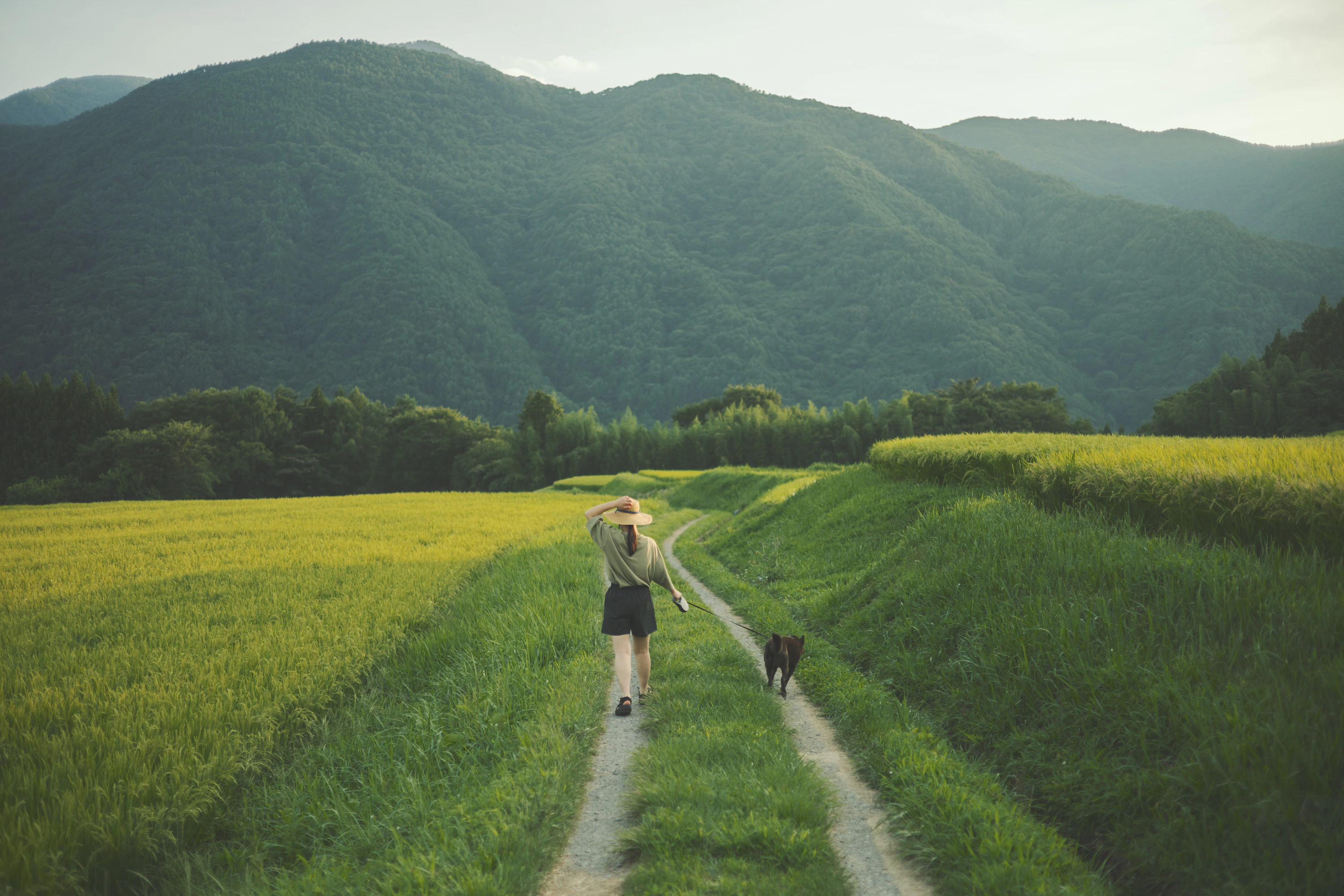 CALENDER 2026 「LONG SEASON」