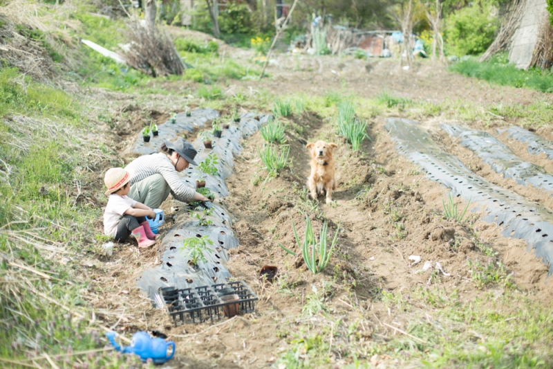 畑のはじまり。