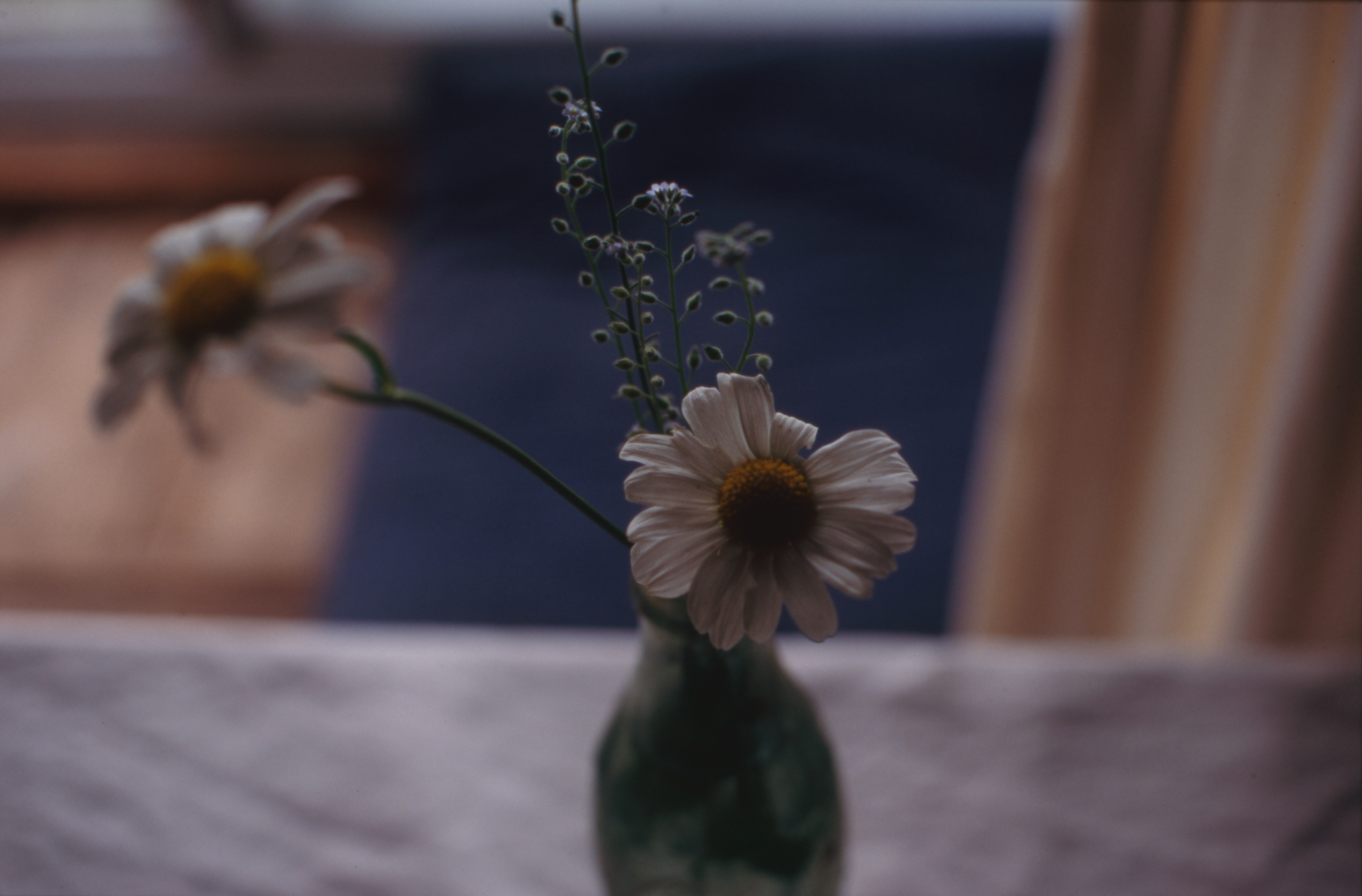 日々の隙間　2005