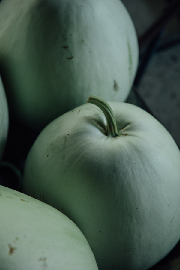 【連載】dancyu 『食の絶滅危惧種』