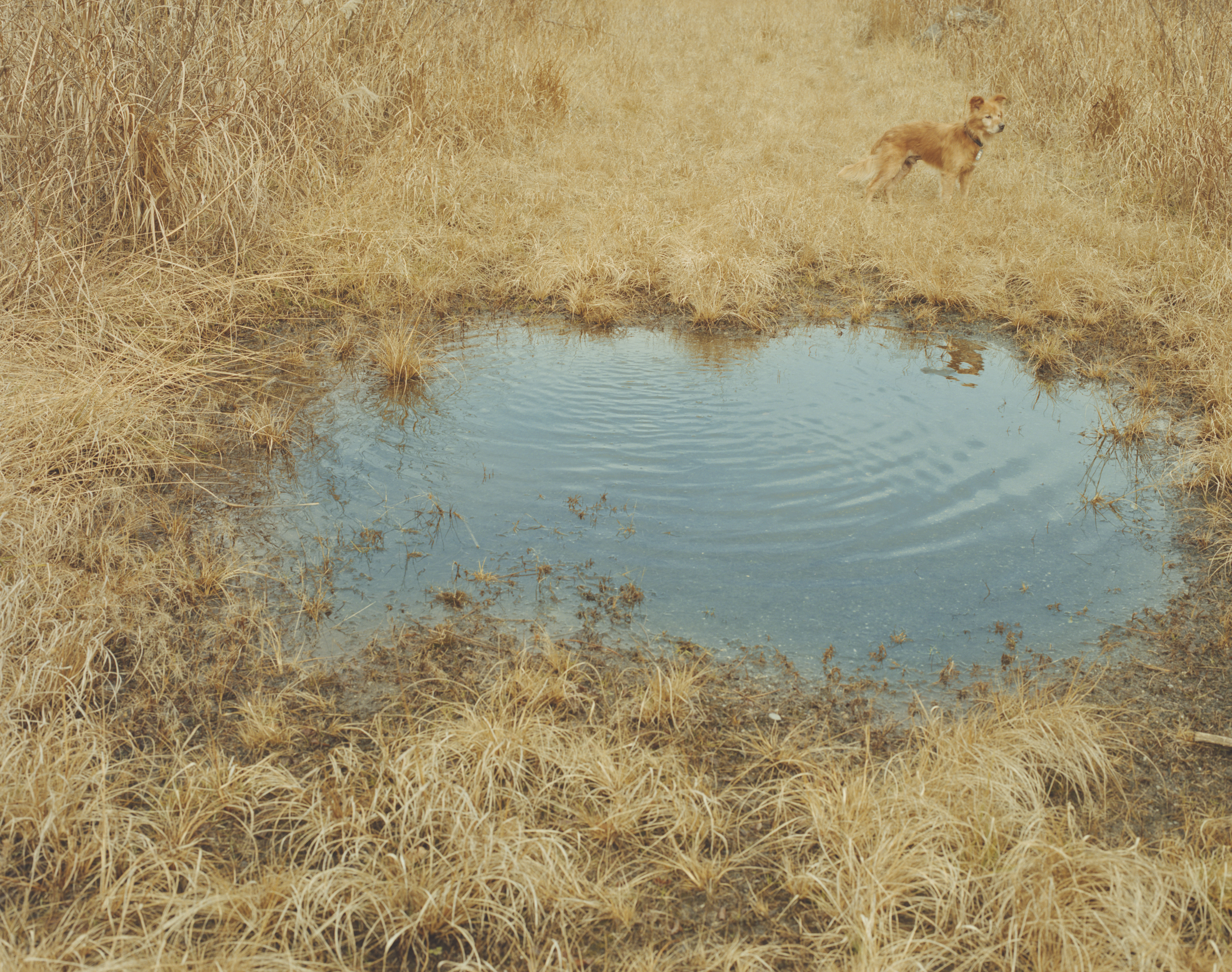 続　日々の隙間　2018