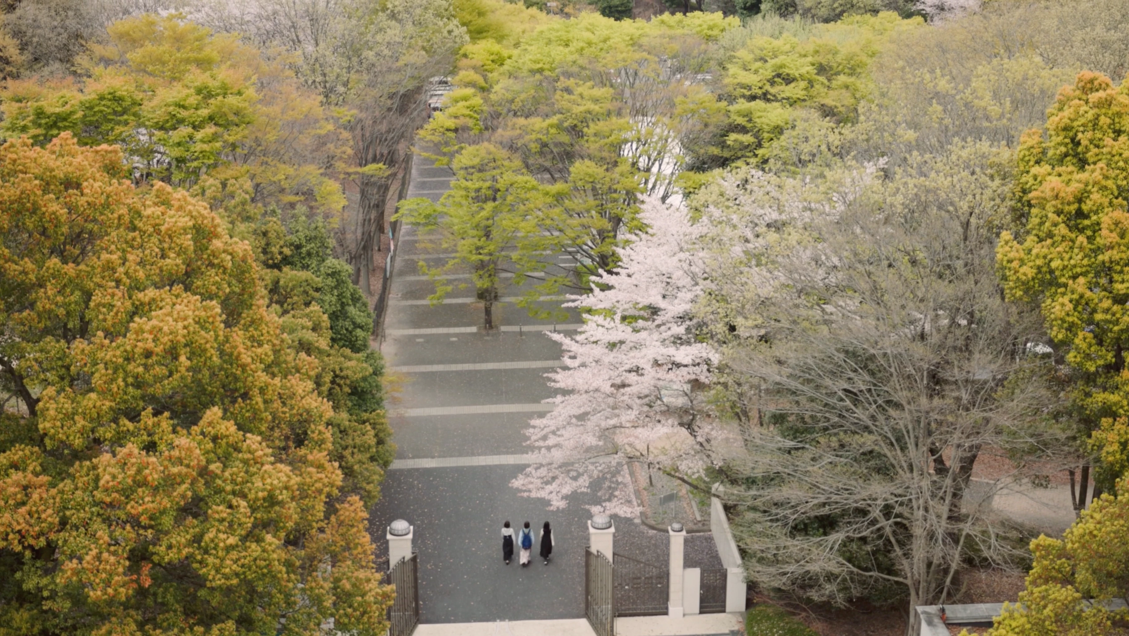 「JOSHIBI」 Joshibi University of Art and Design 2023 Movie