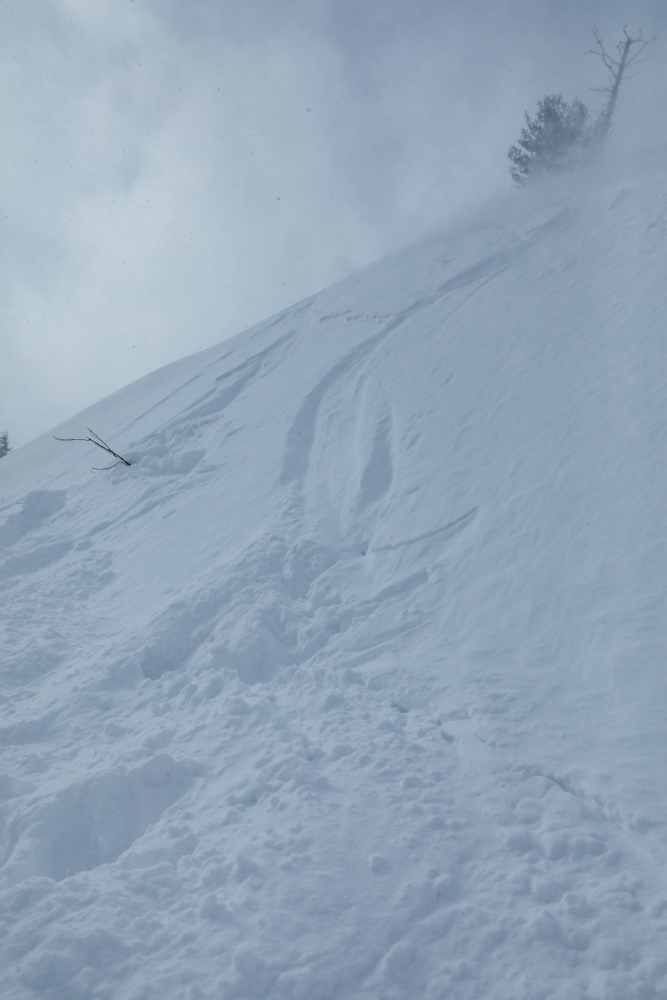 Liart Vol.22  Winter Back Country