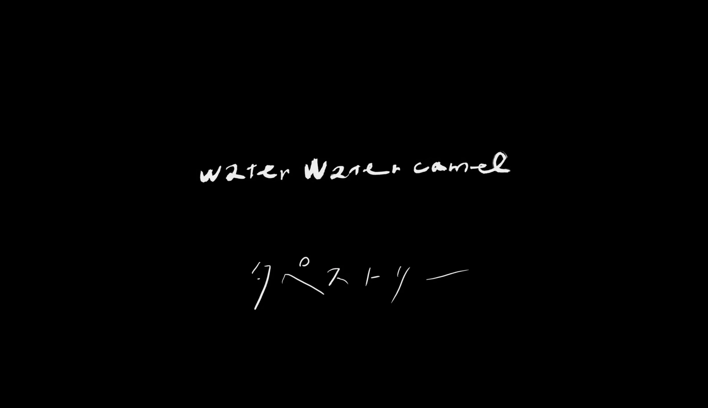 water water camel 「タペストリー」MV