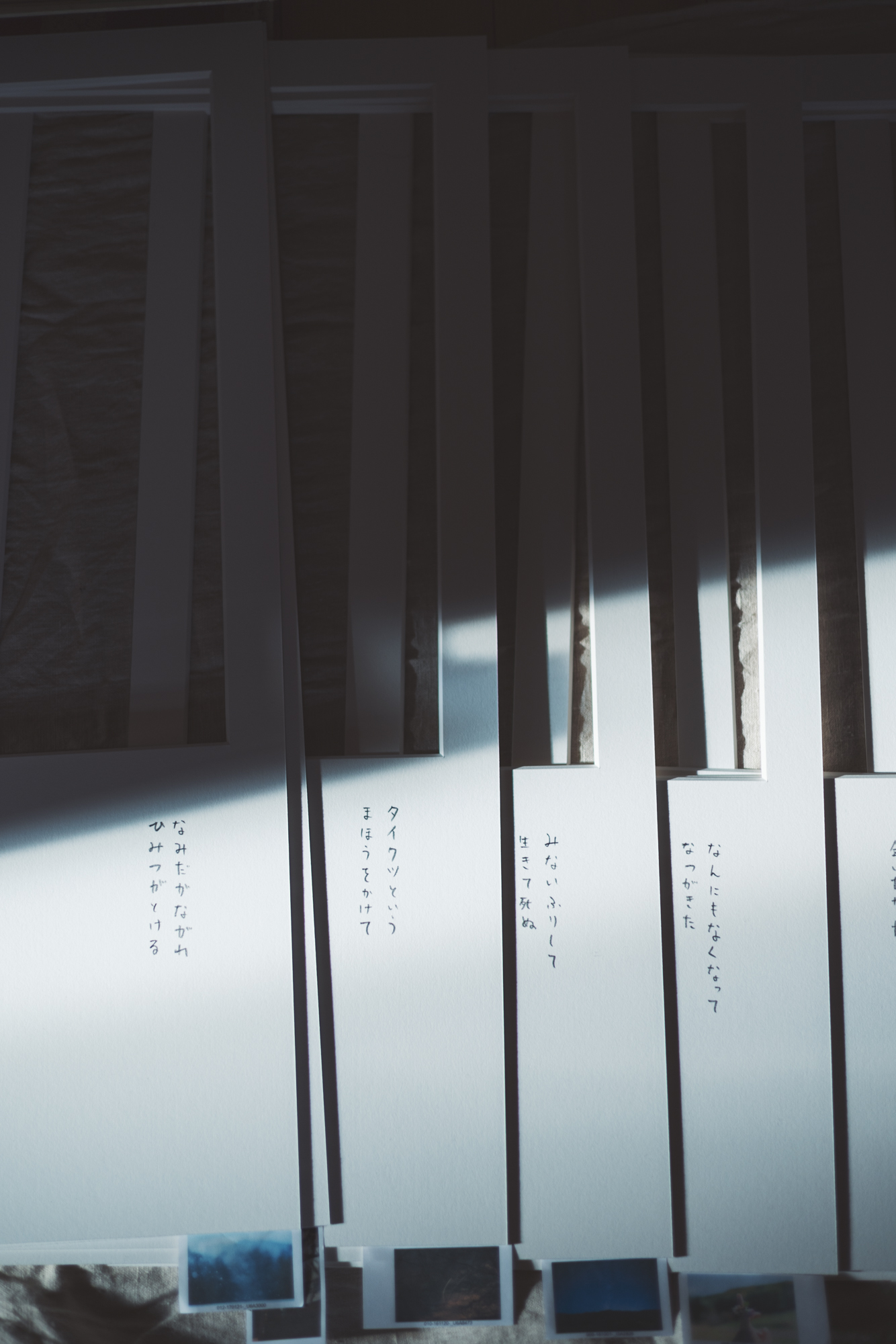 写真と詩の展示 「LONG SEASON」