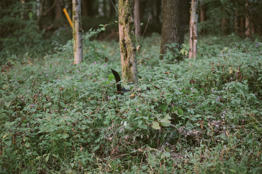 くるみと秋の夜長。