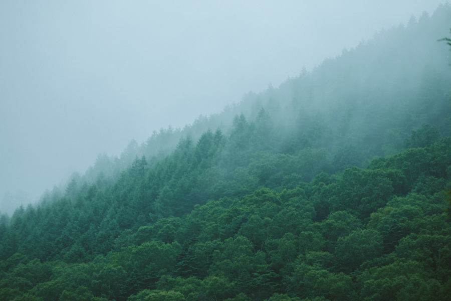 IMA Art Photo Pilgrimage