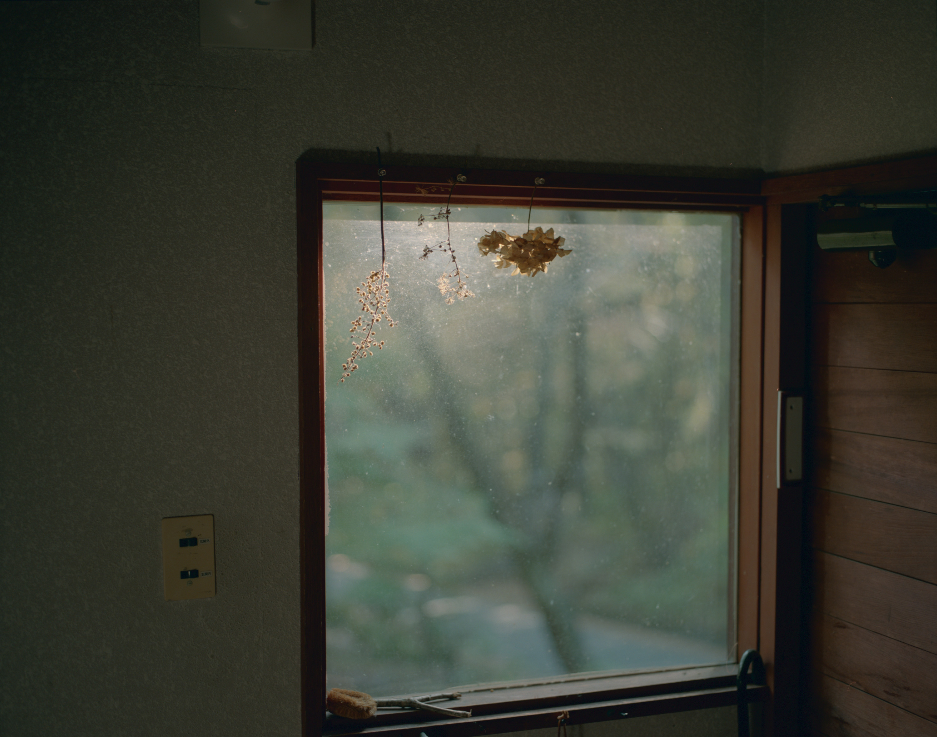 LANDING LAND 透明な日常