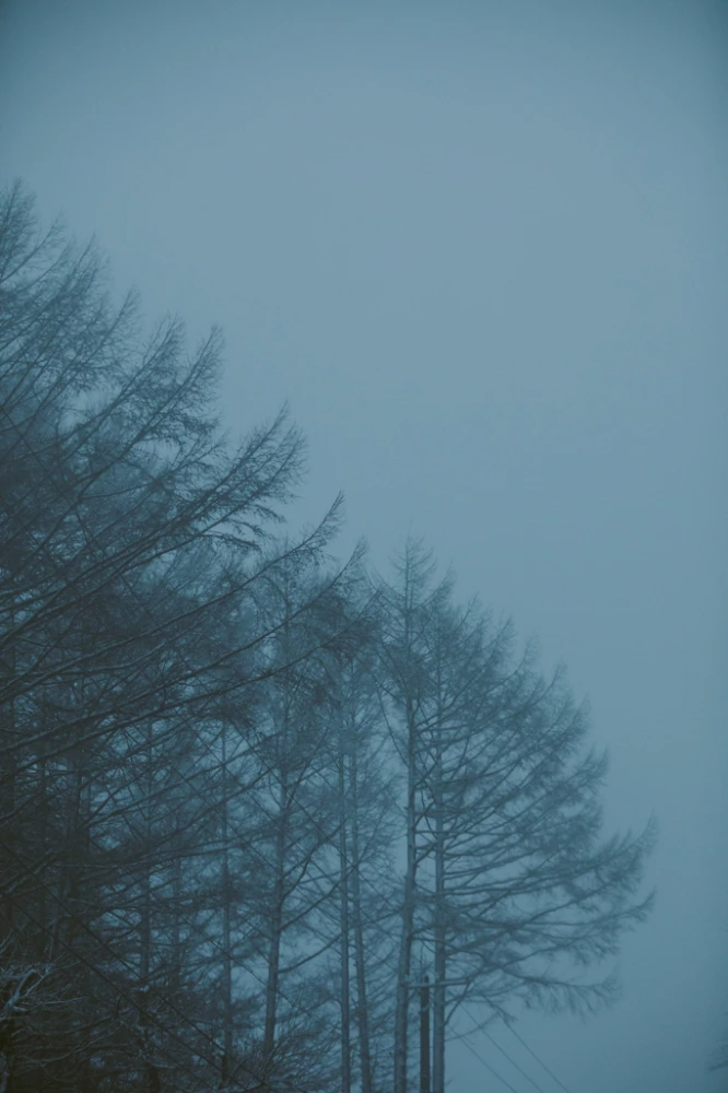 白い雨。