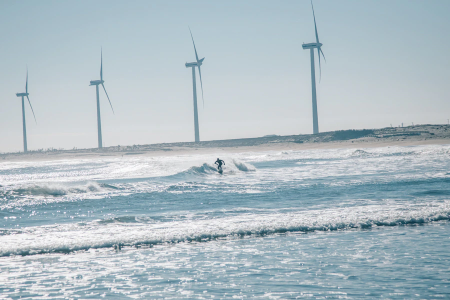 山生まれ、山育ち。