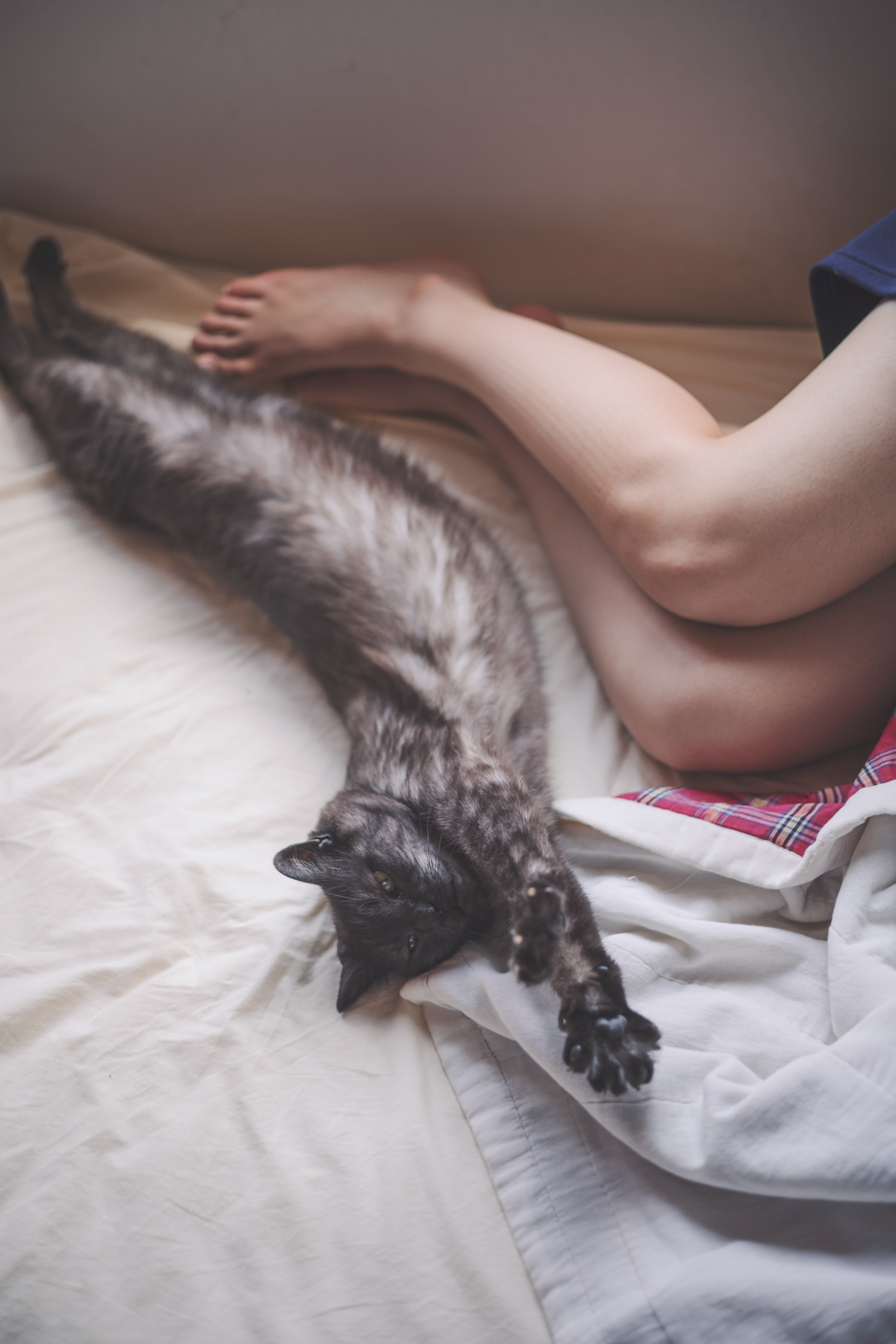 CALENDER 2026 「LONG SEASON」　