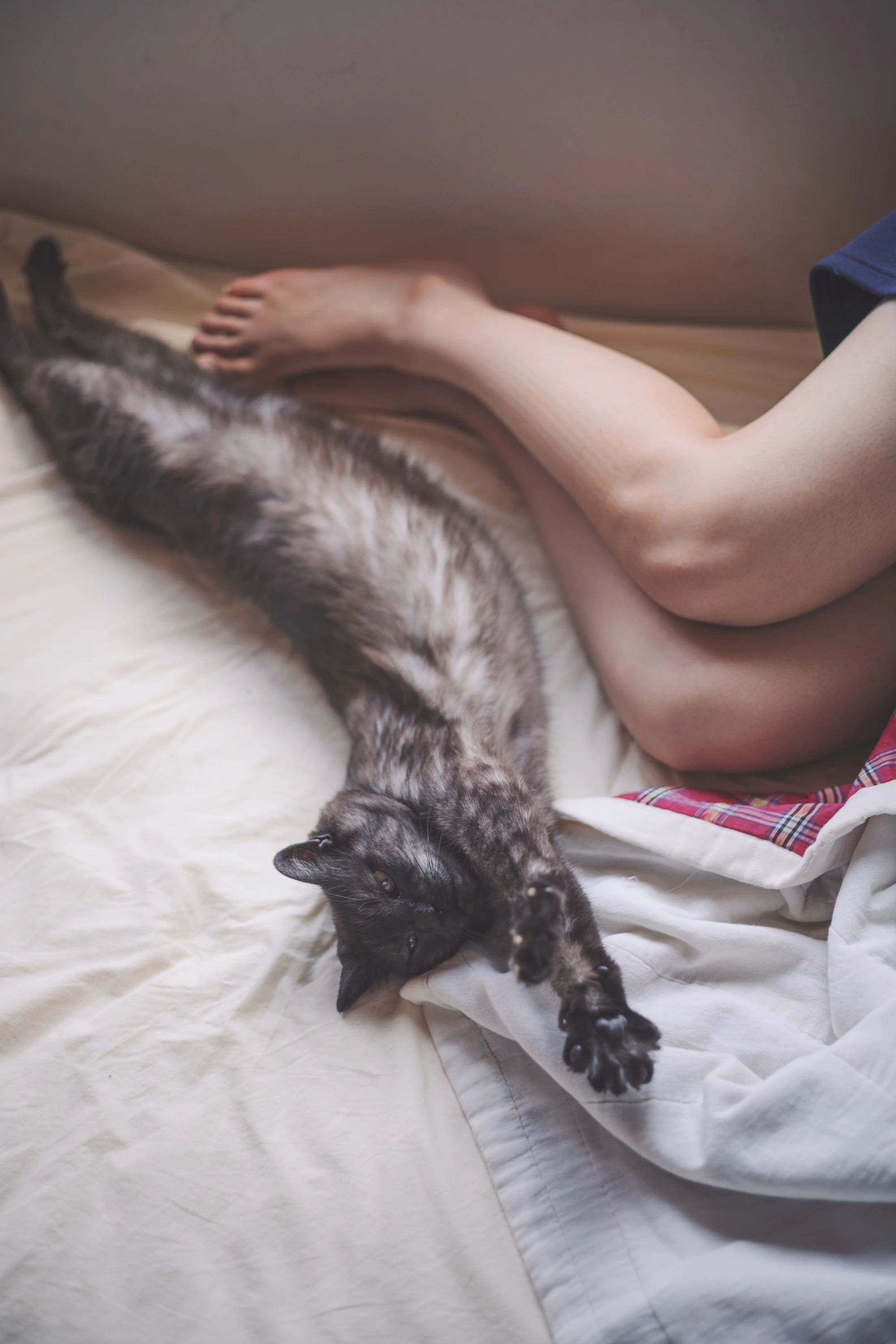 CALENDER 2026 「LONG SEASON」