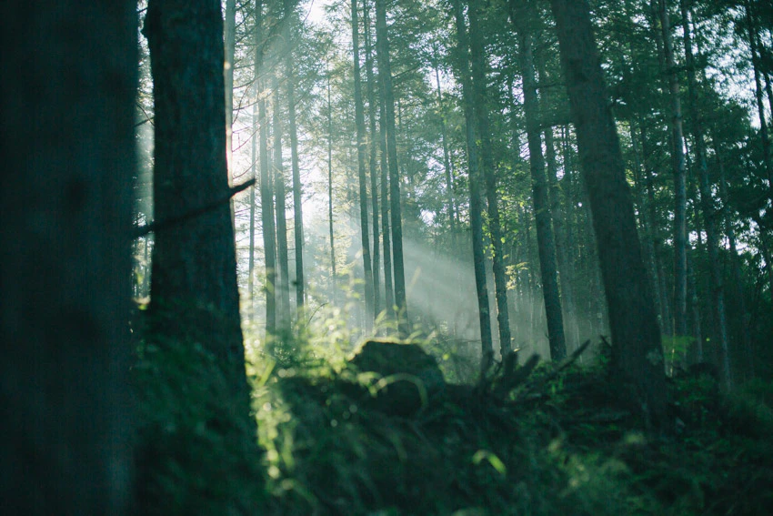 あっこさんと八ヶ岳。