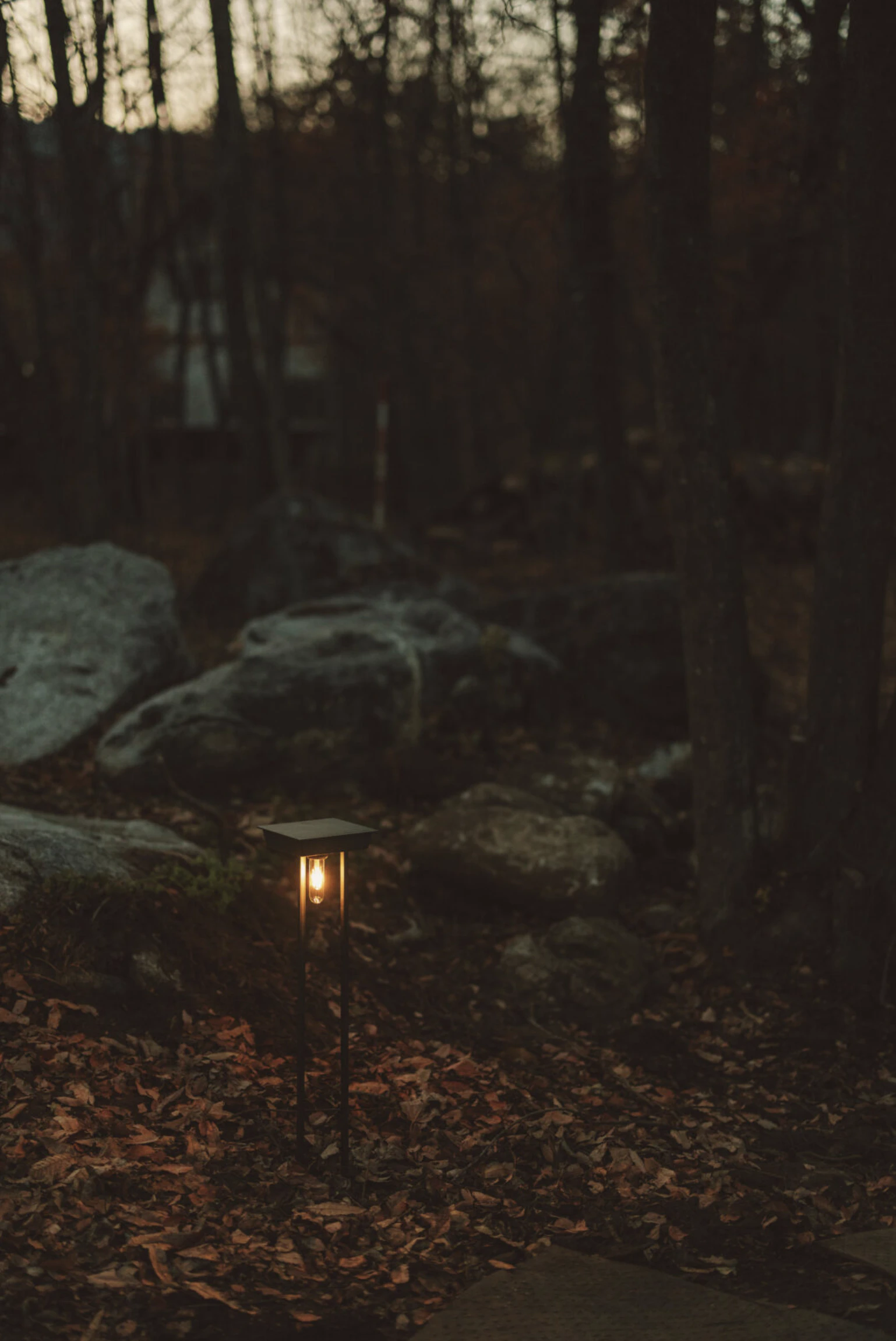 S PLUS ONE 建築設計事務所