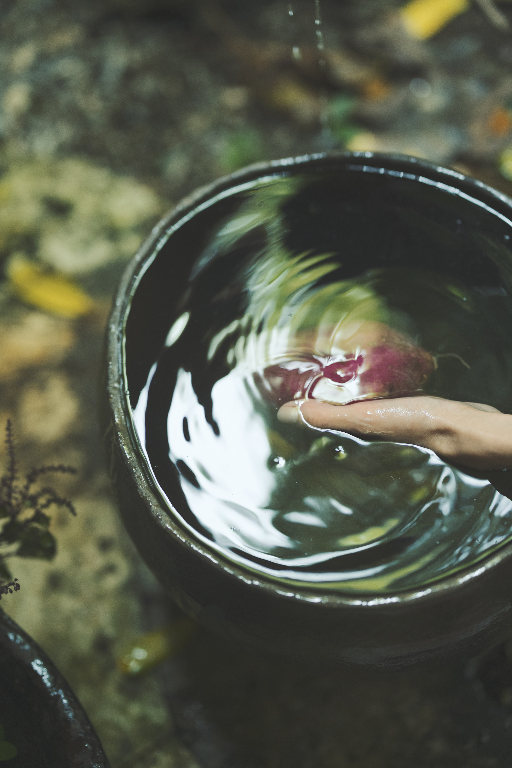 Jurgen Lehl & Babaghuri 2022 summer Collection