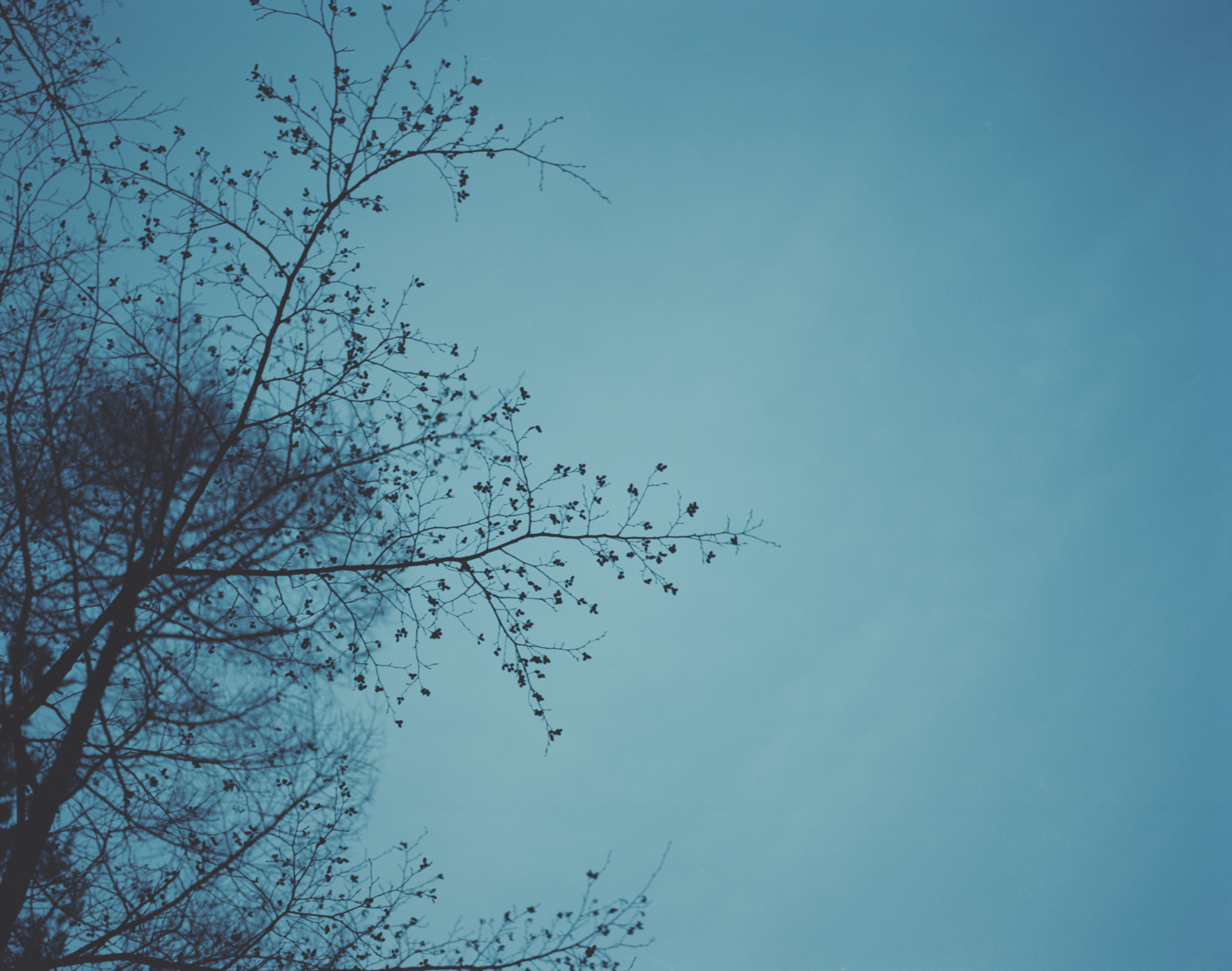 続　日々の隙間　2018