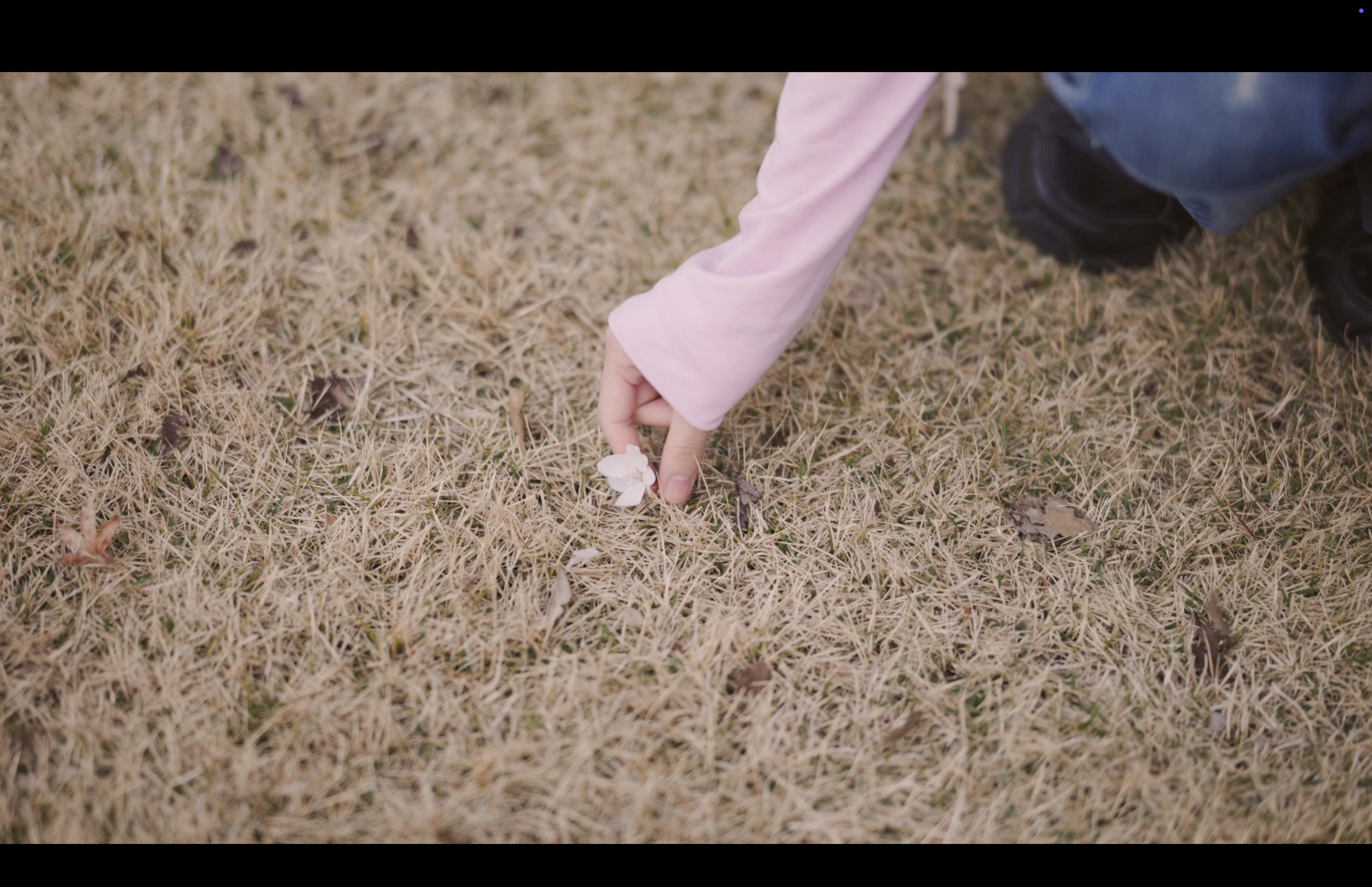 2024「JOSHIBI」 Joshibi University of Art and Design Movie