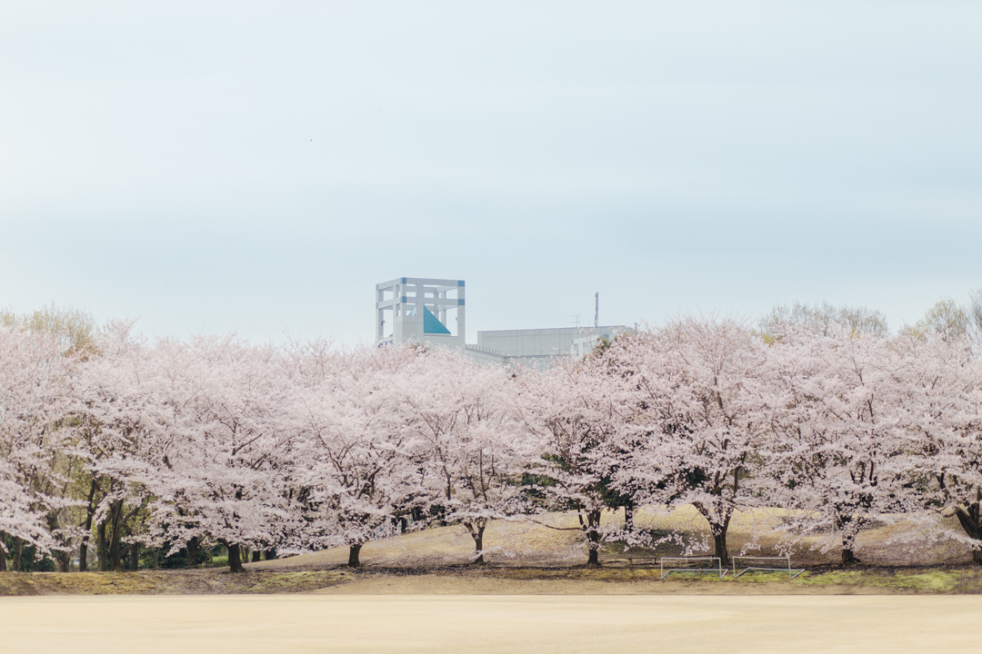 女子美術大学　2018学校案内